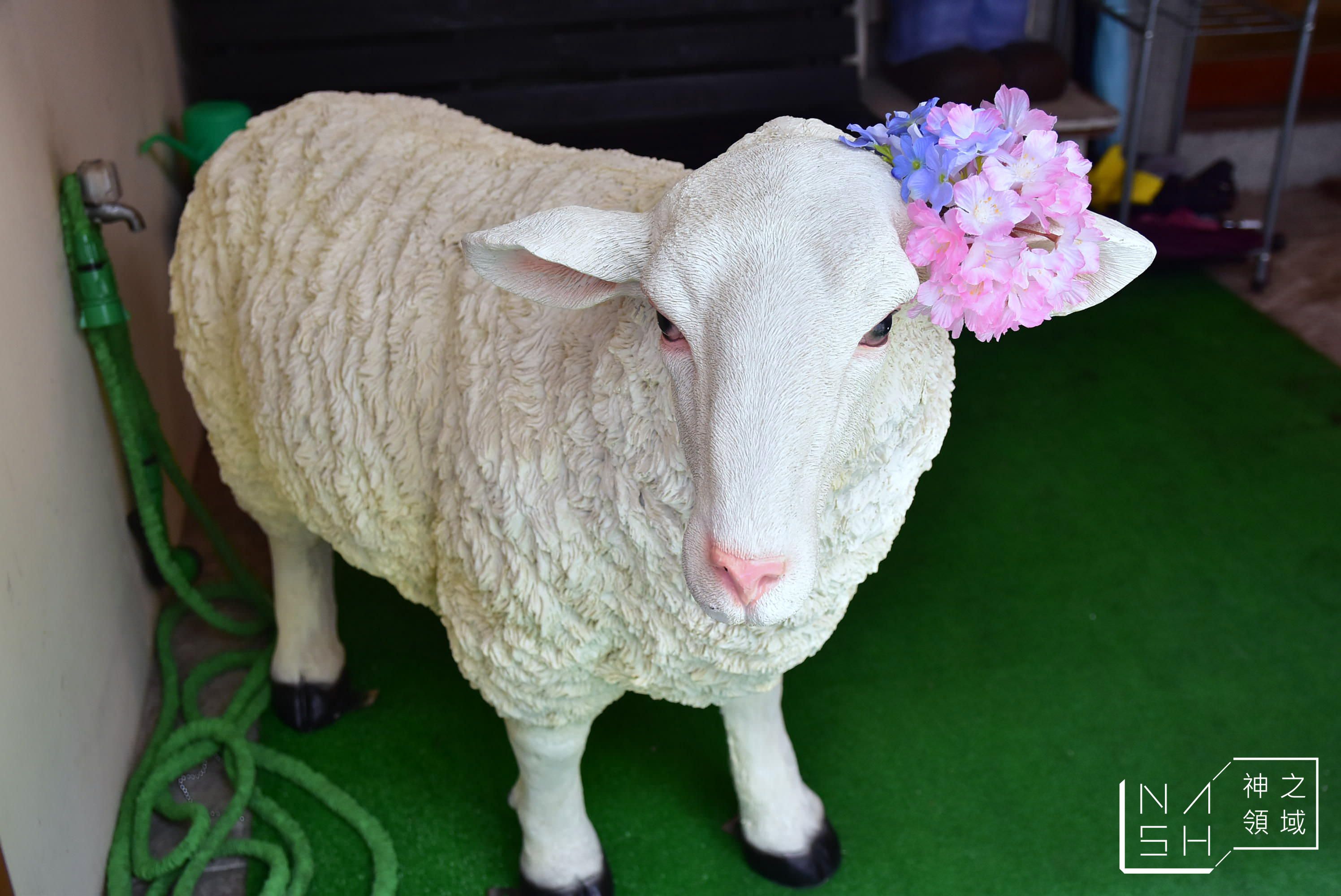 羊毛與花