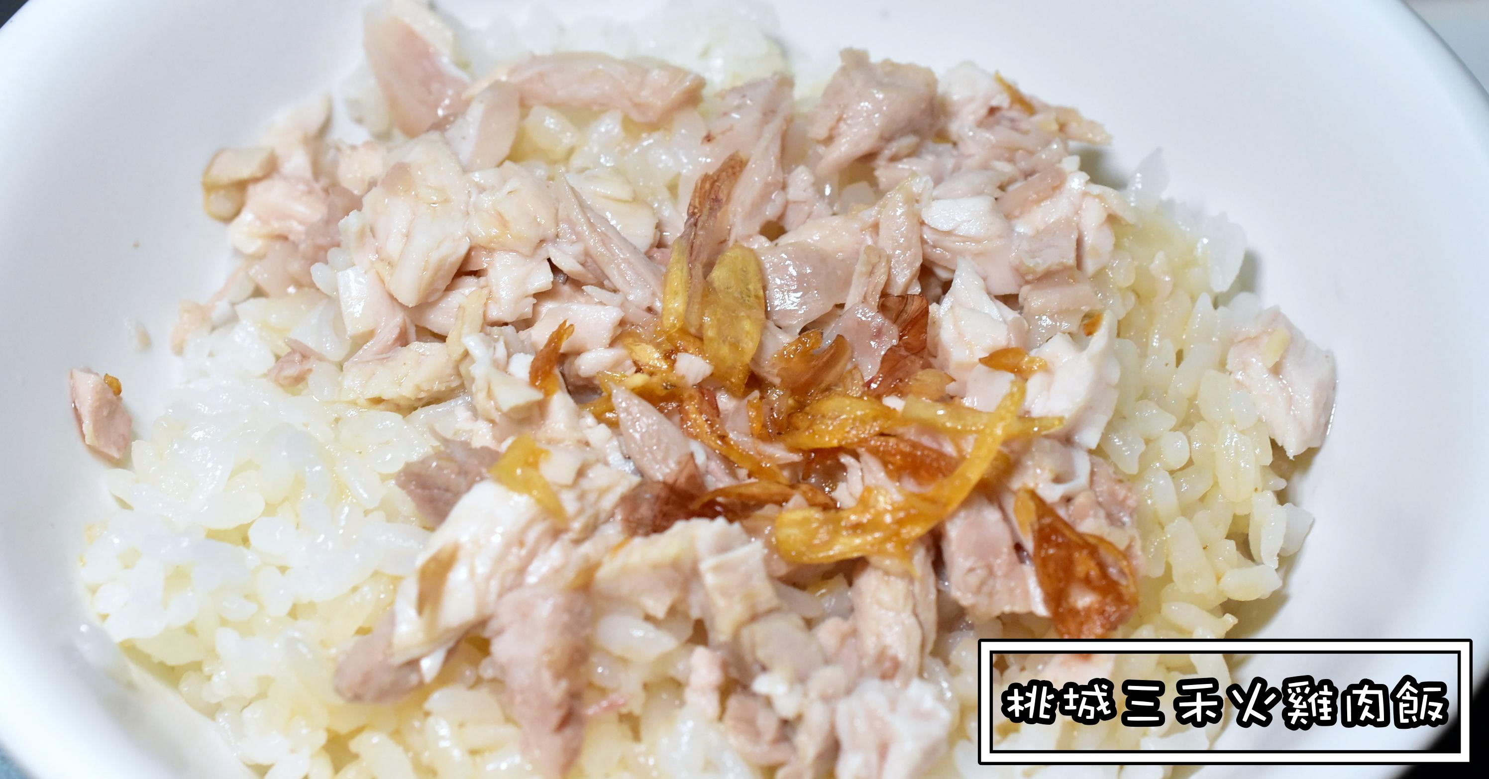 嘉義雞肉飯推薦|桃城三禾火雞肉飯 盲測第二名的嘉義雞肉飯 (菜單價錢)