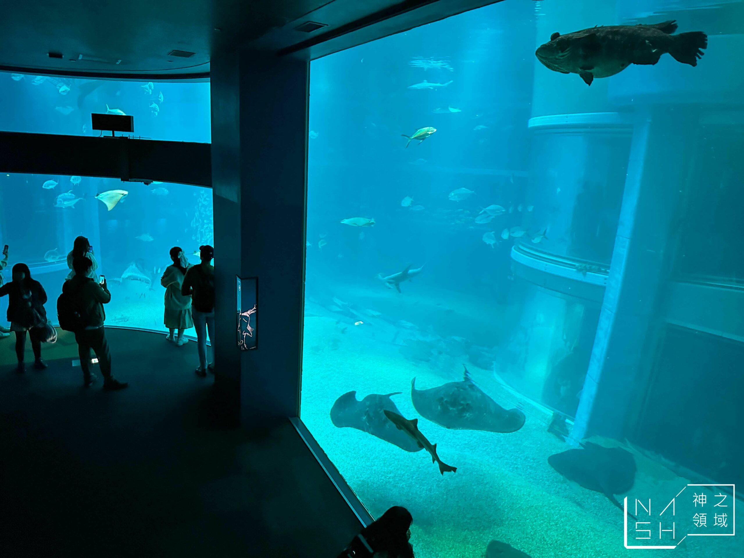 海遊館