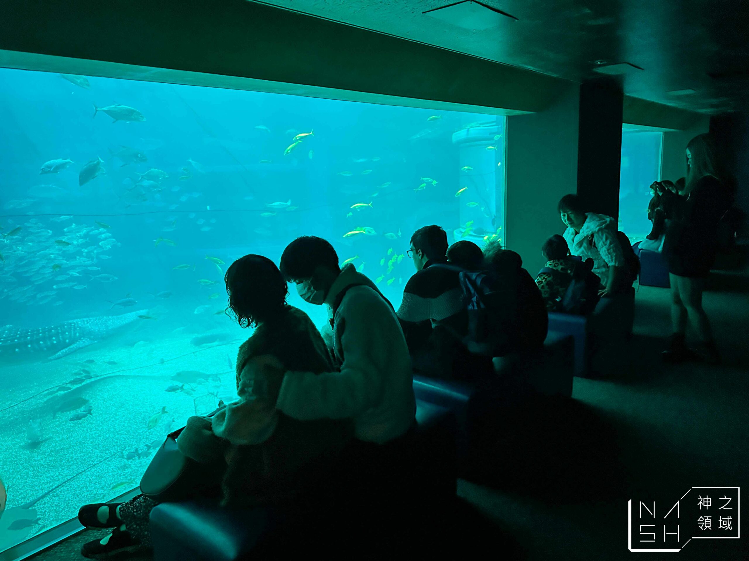 海遊館