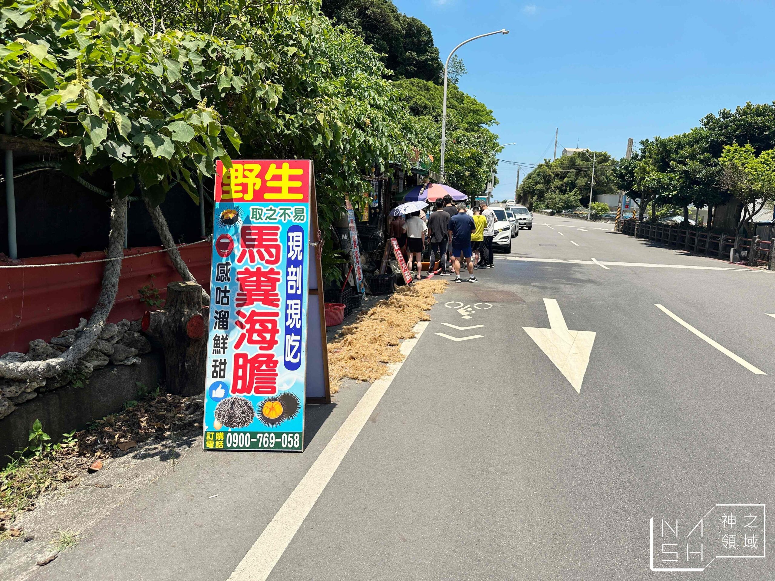 龜吼漁港現剖馬糞海膽