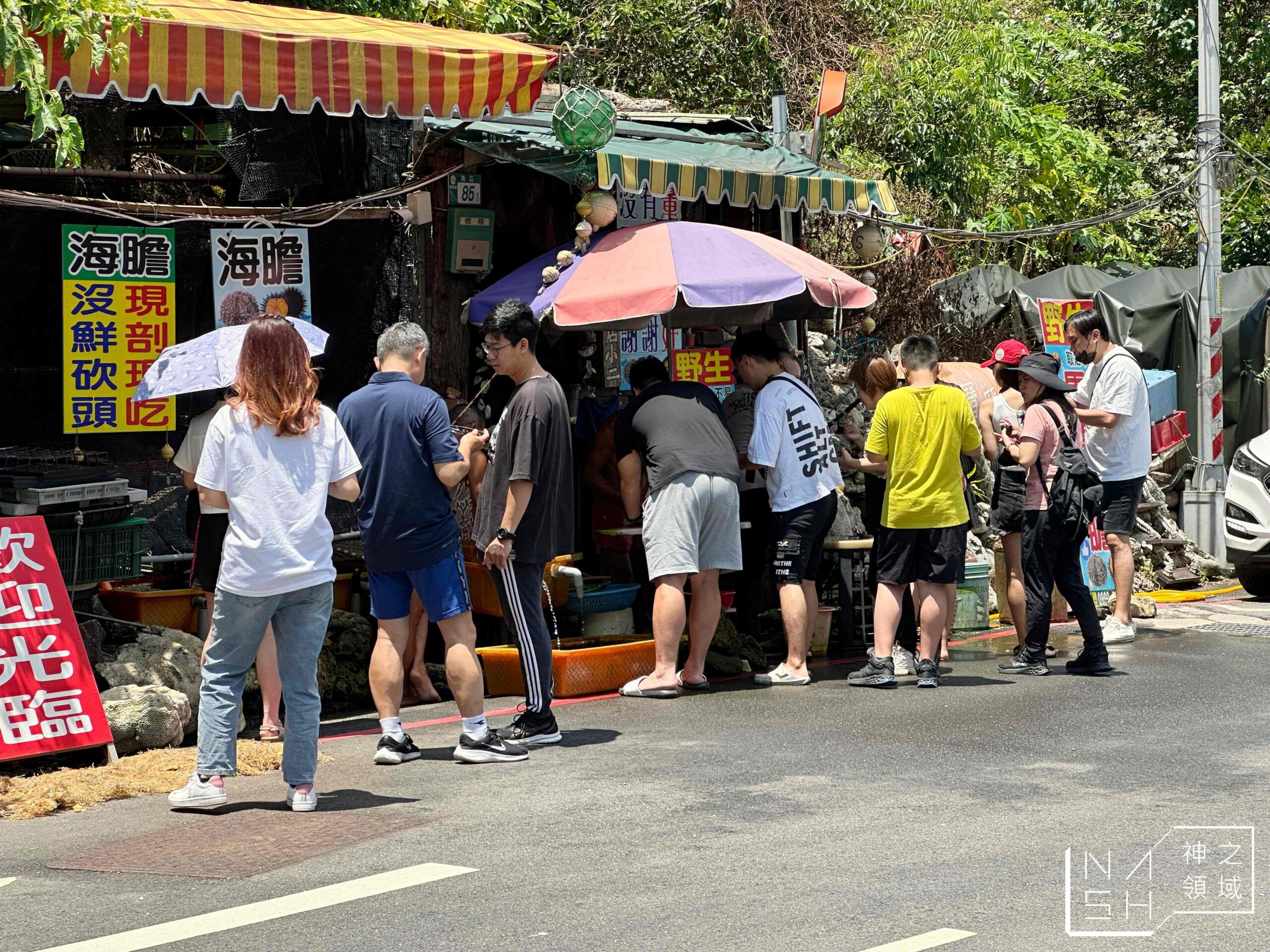 龜吼漁港現剖馬糞海膽