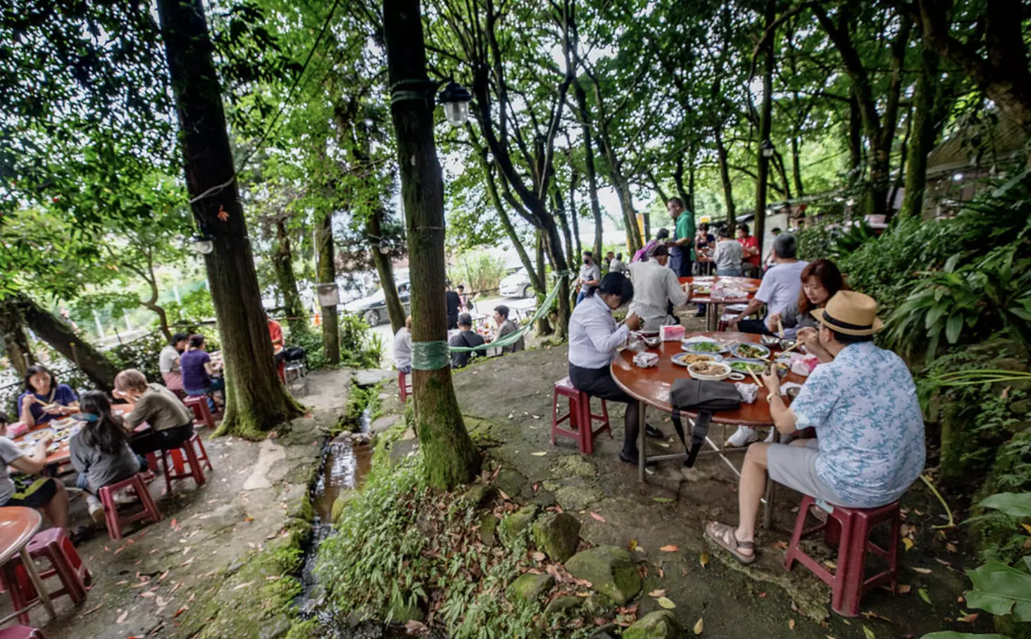 【陽明山美食推薦】山園野菜餐廳｜竹子湖森林裡的隱藏版野菜土雞料理