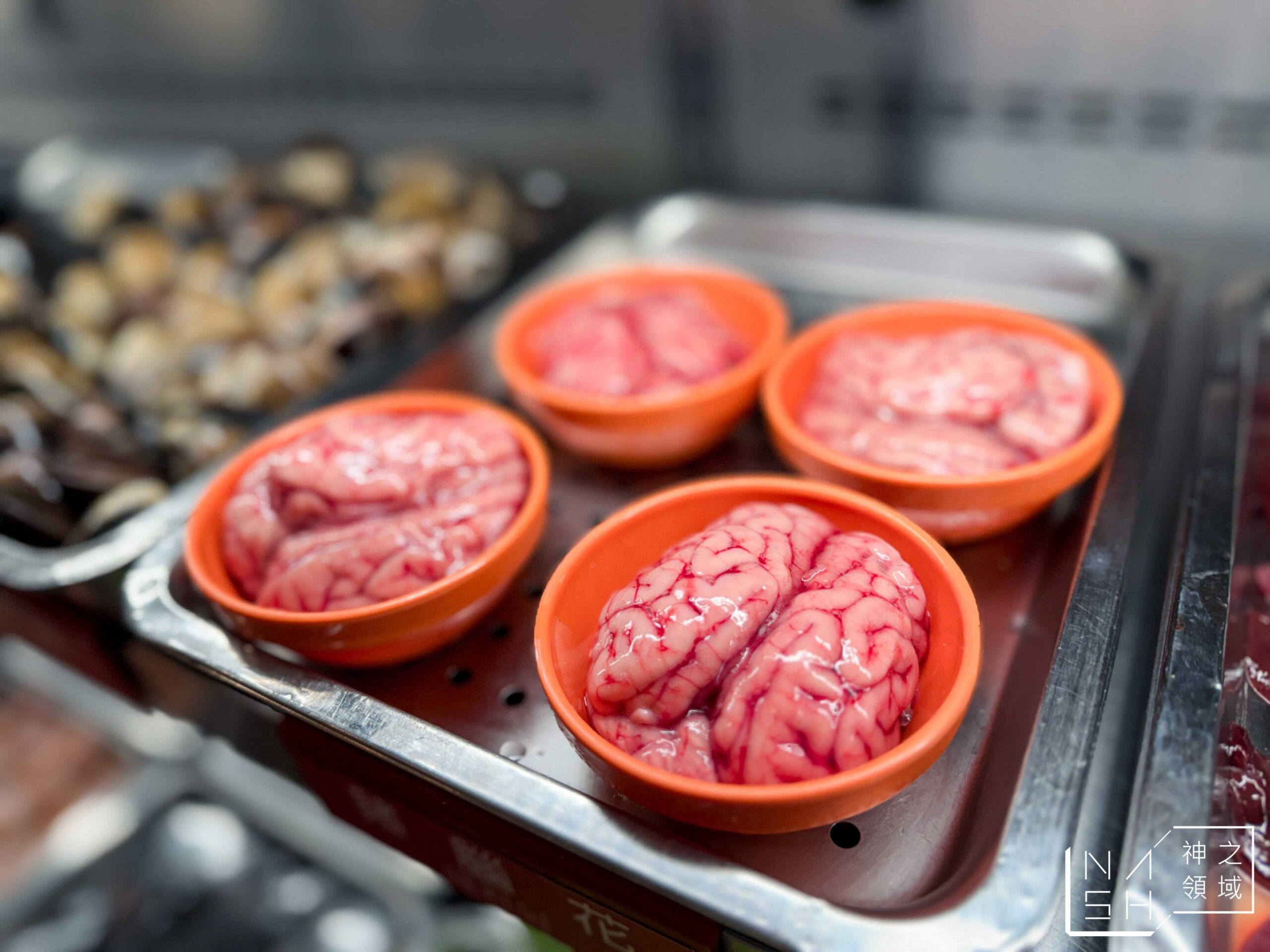 皇家帝國麻辣火鍋吃到飽 皇家帝國麻辣火鍋吃到飽