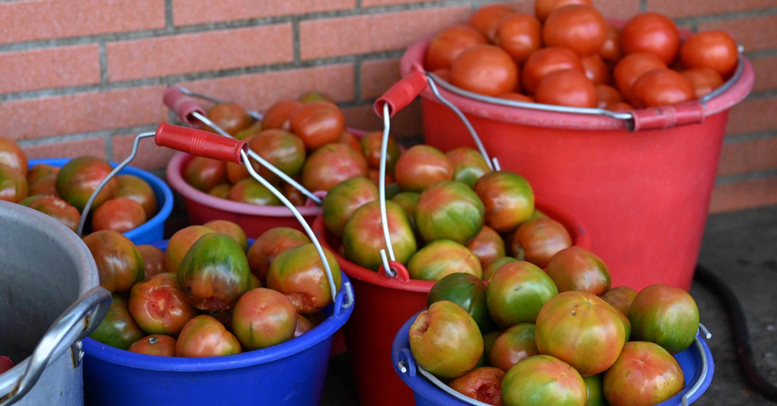甘記蕃茄刀削麵 @Nash，神之領域