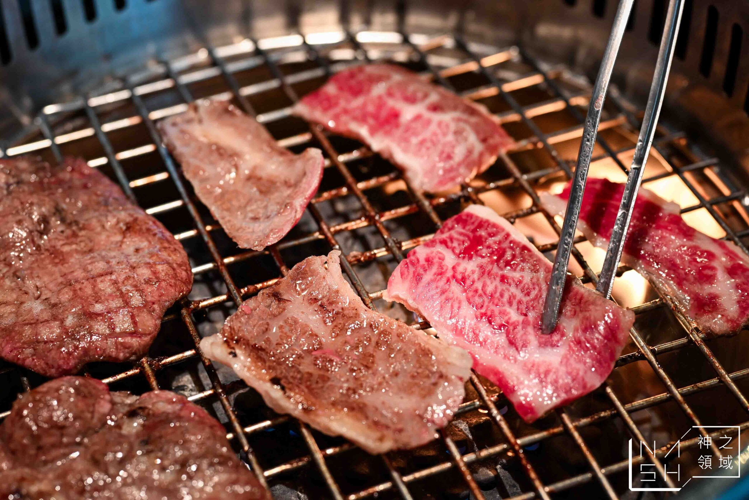 樂樂燒肉桃園店