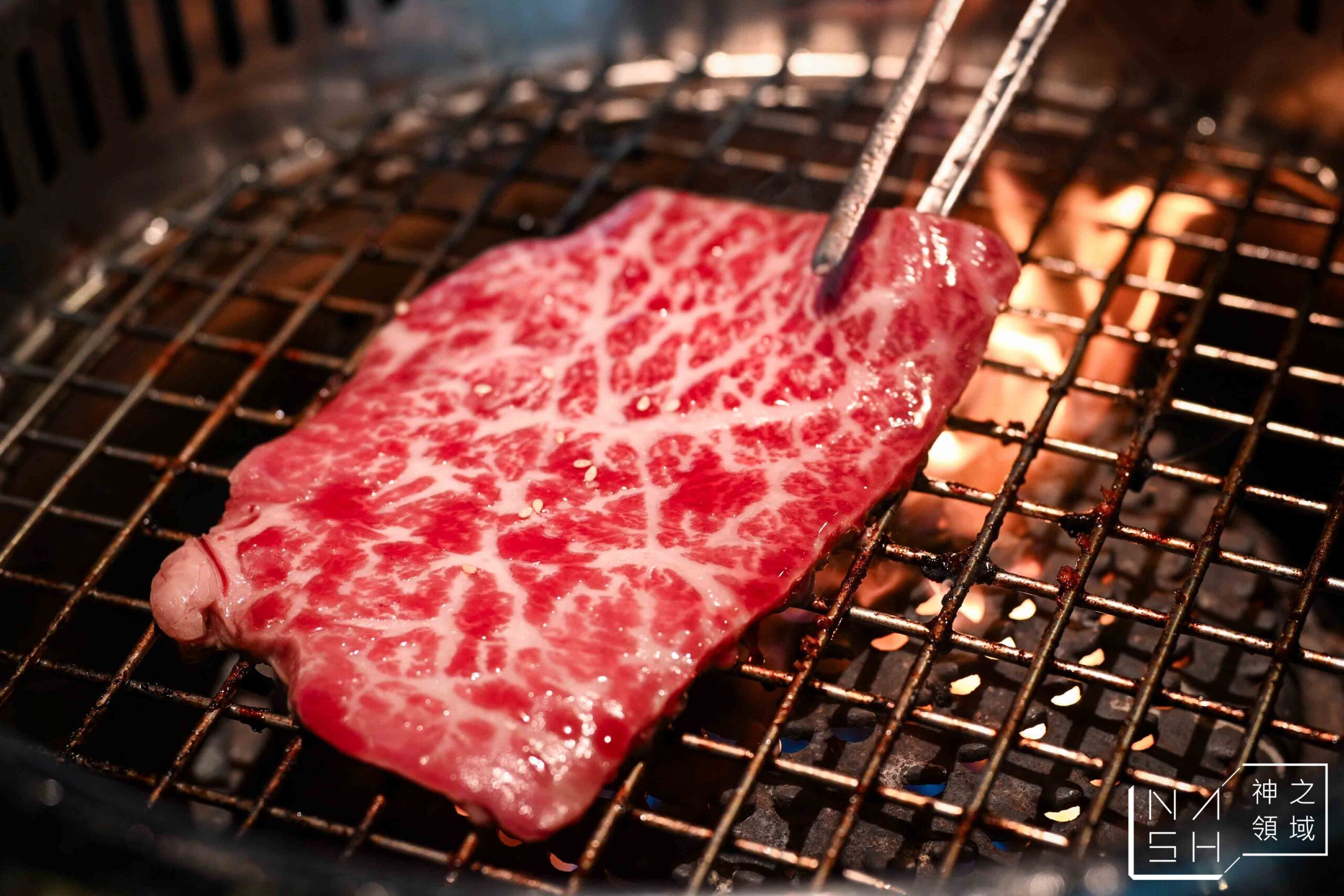 樂樂燒肉桃園店