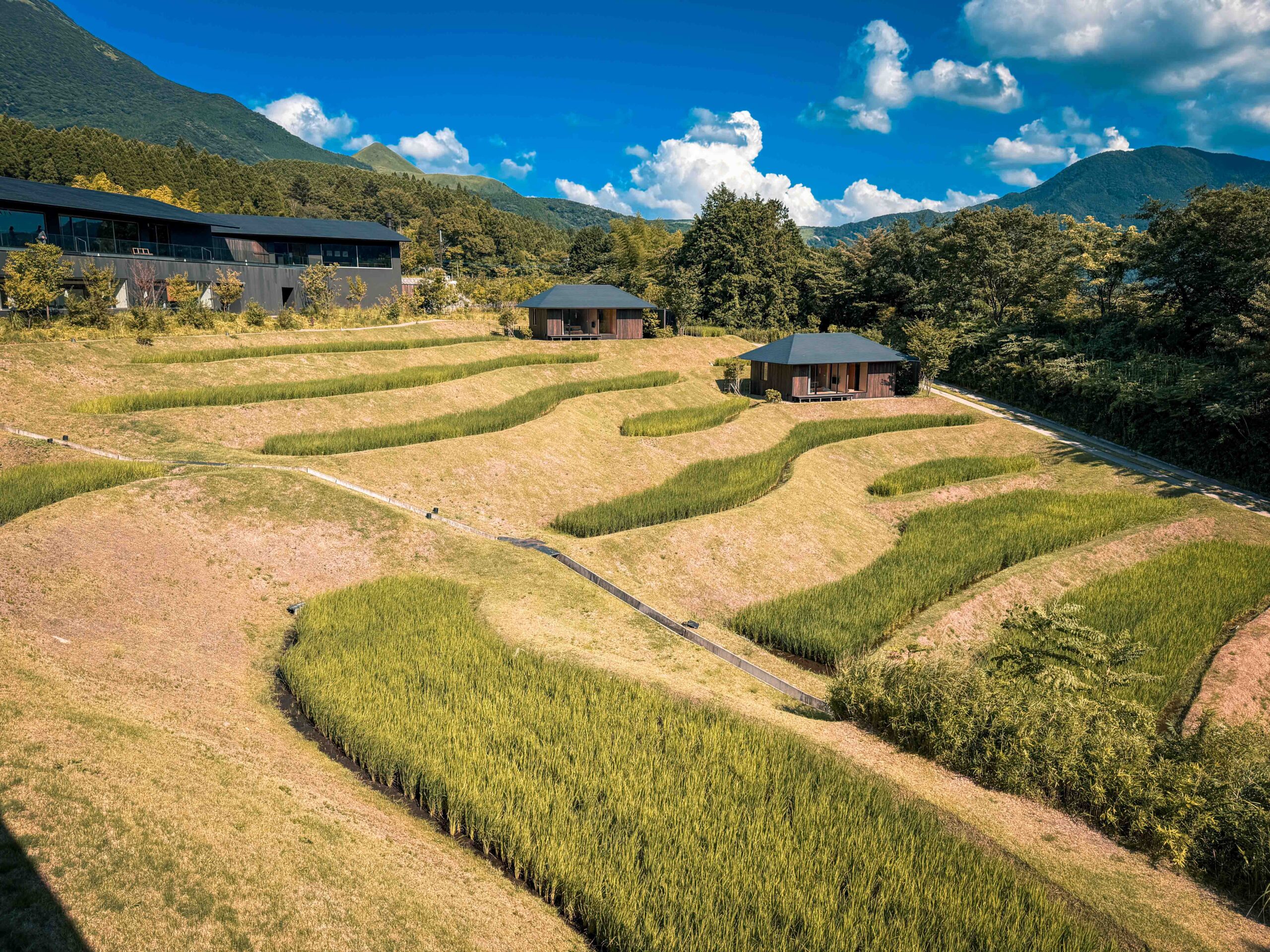 星野集團 界 由布院,由布院溫泉住宿推薦,由布院飯店露天風呂,九州溫泉旅館推薦,由布院界品牌住宿心得,界 由布院 晚餐 早餐,星野集團 日本溫泉旅宿 @Nash，神之領域