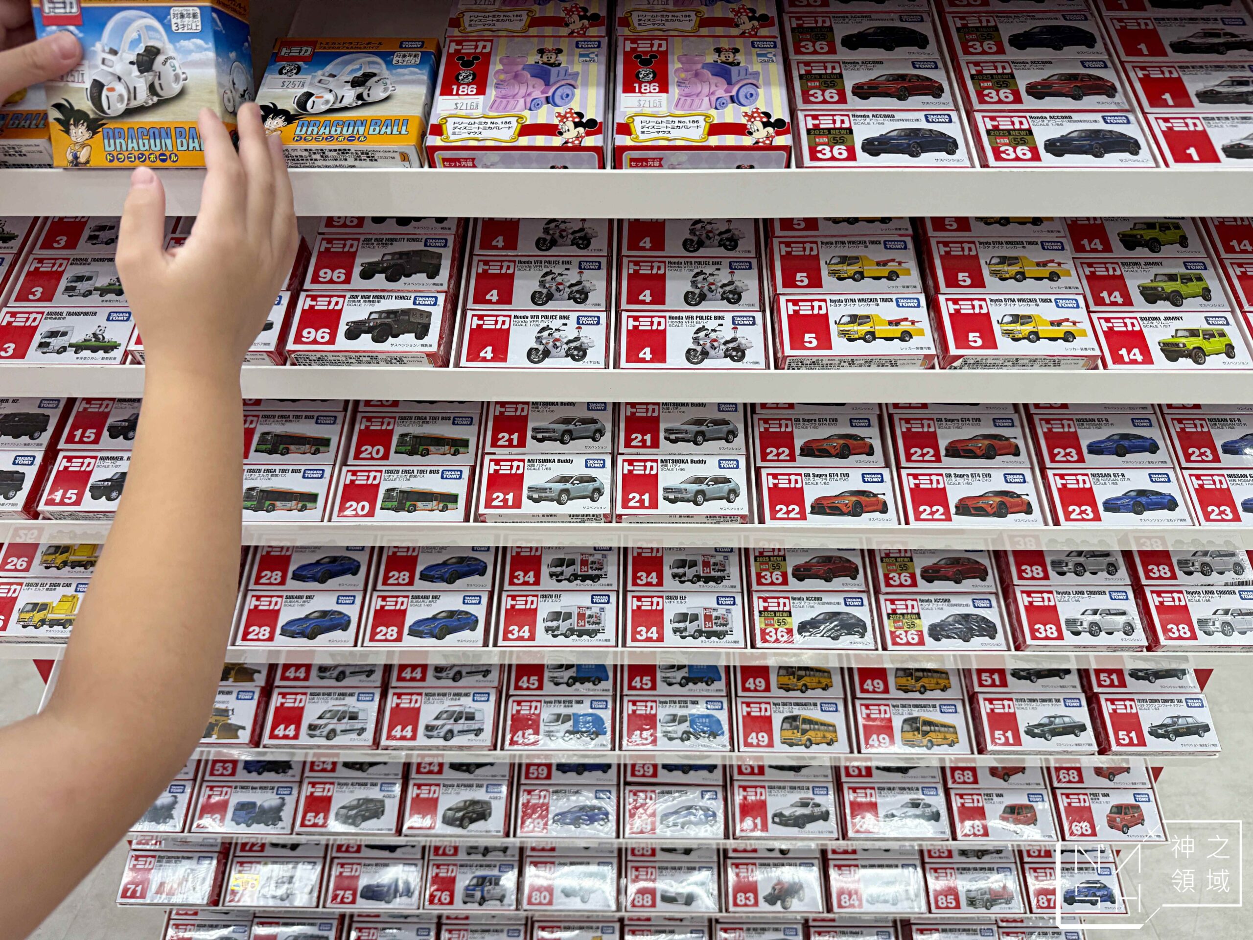 新莊亞細亞Toys批發家族
