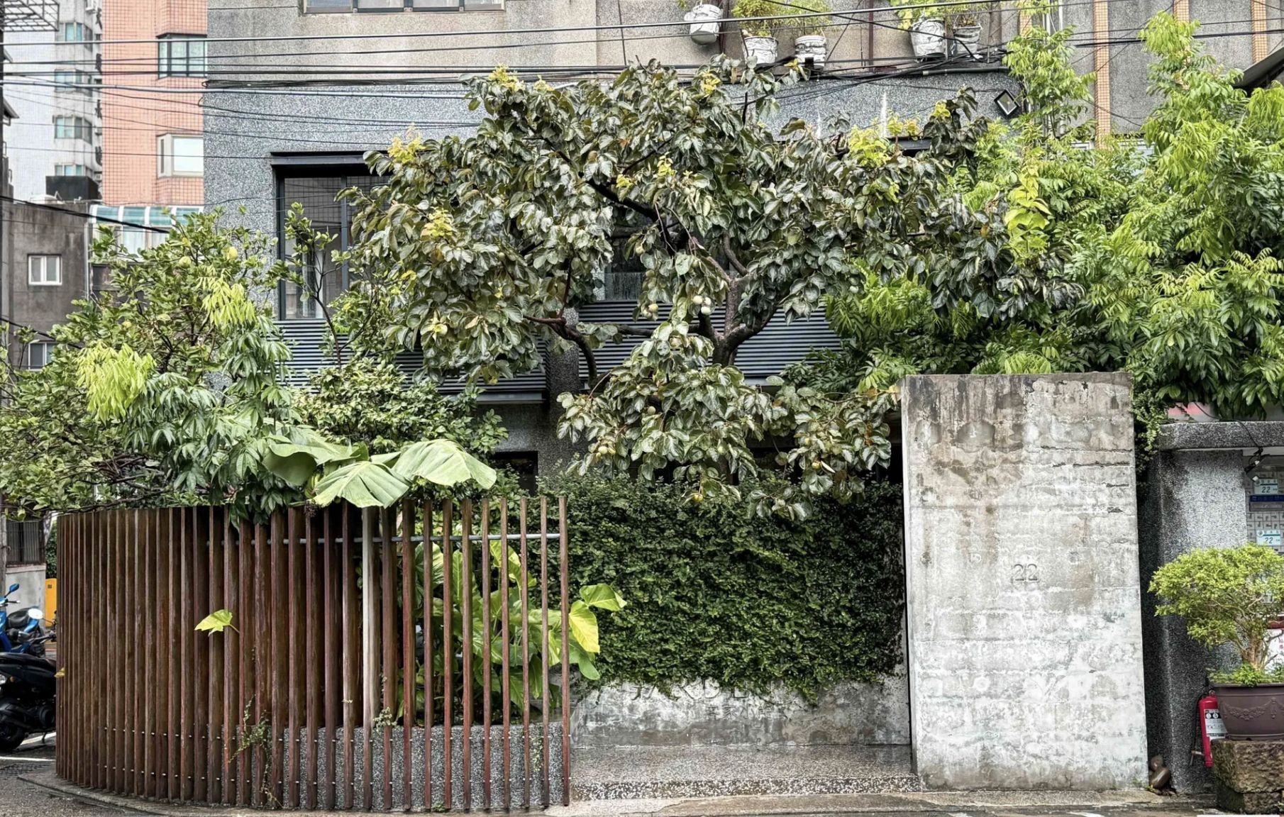 客家小館 @Nash，神之領域