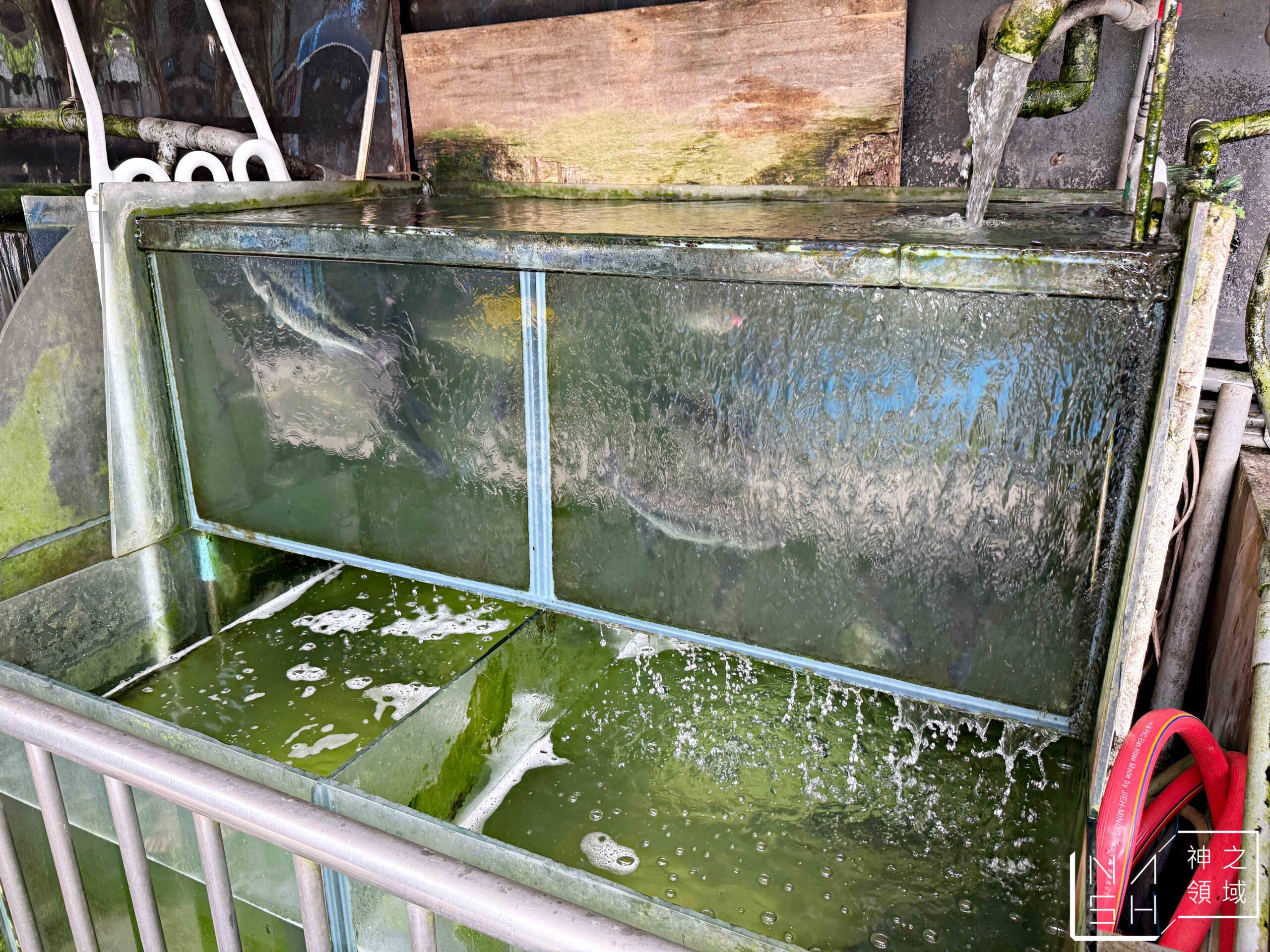 虎頭山土雞城
