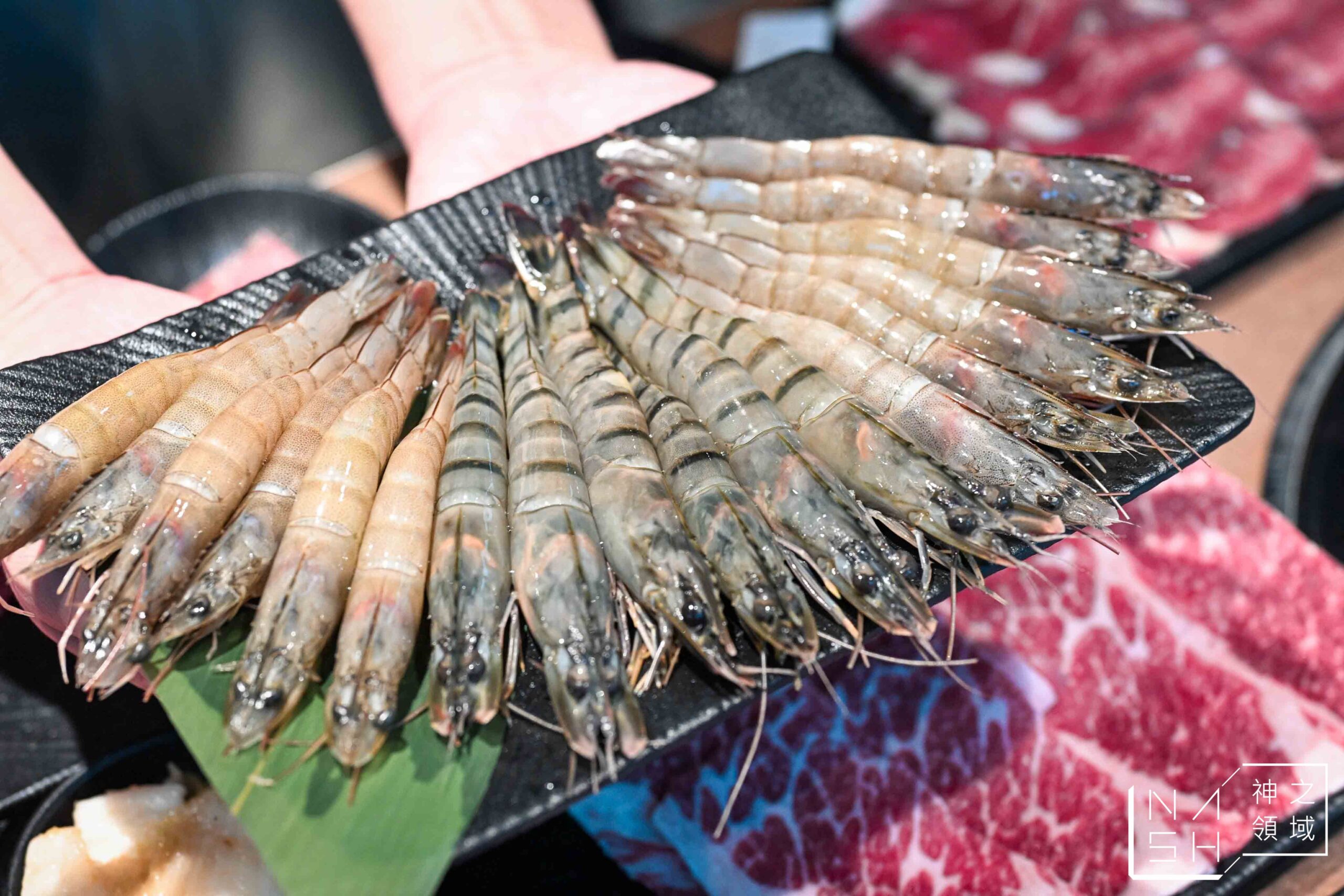  @Nash，神之領域