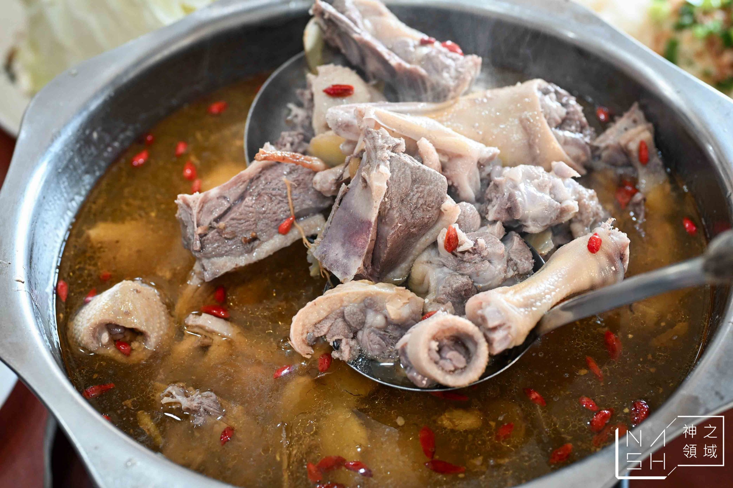 台灣番鴨牧場大江店