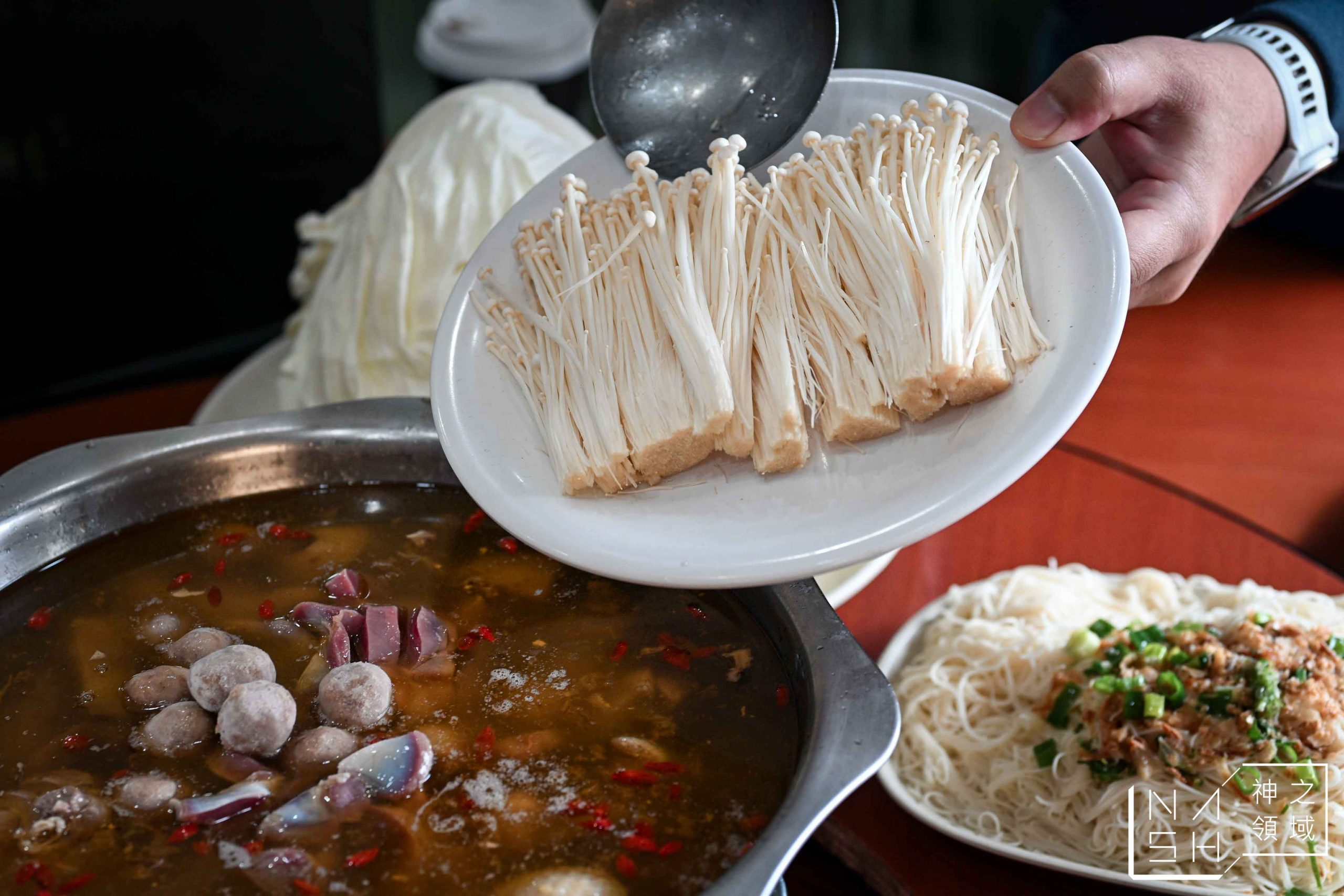 台灣番鴨牧場大江店