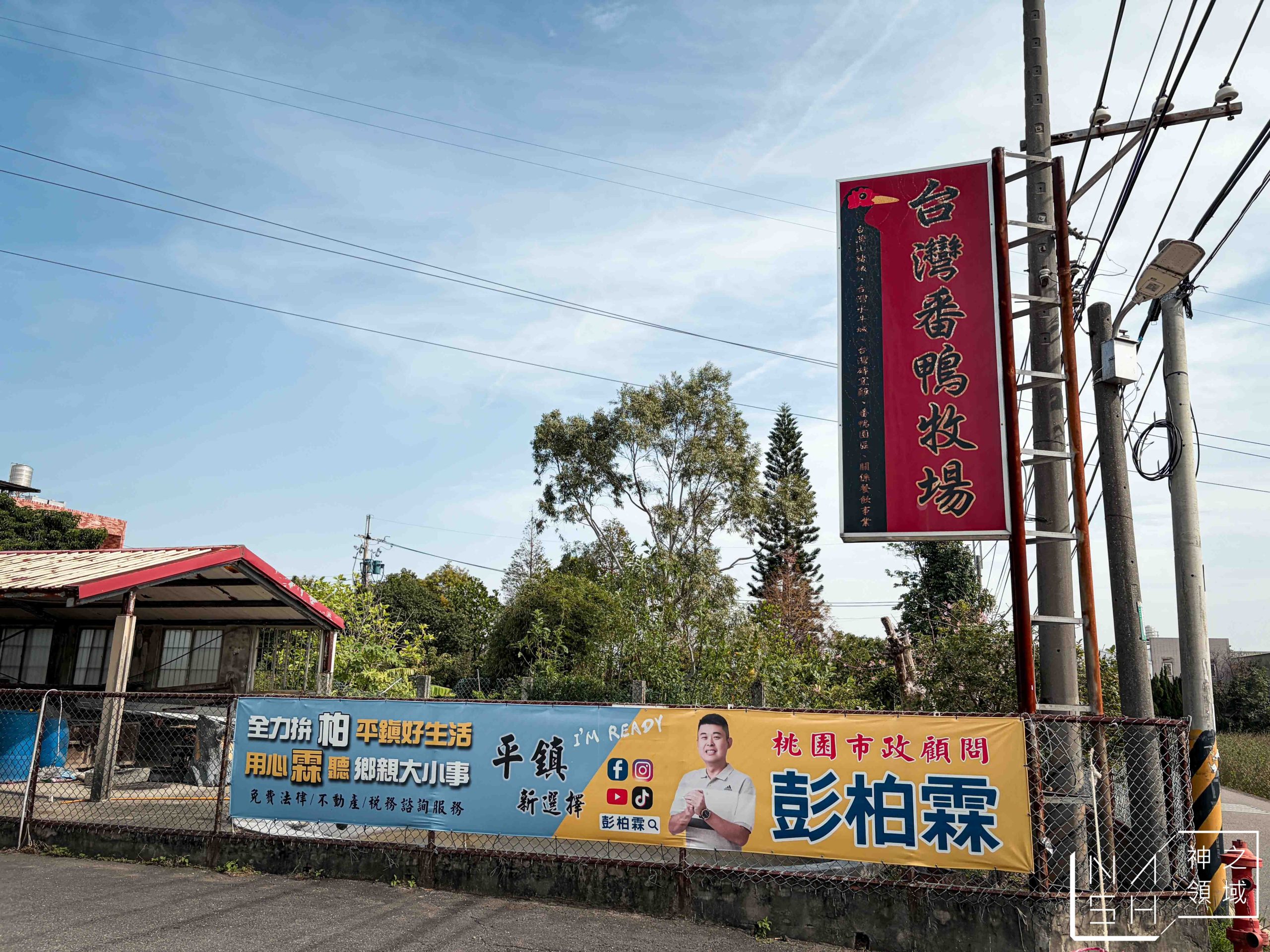 台灣番鴨牧場大江店