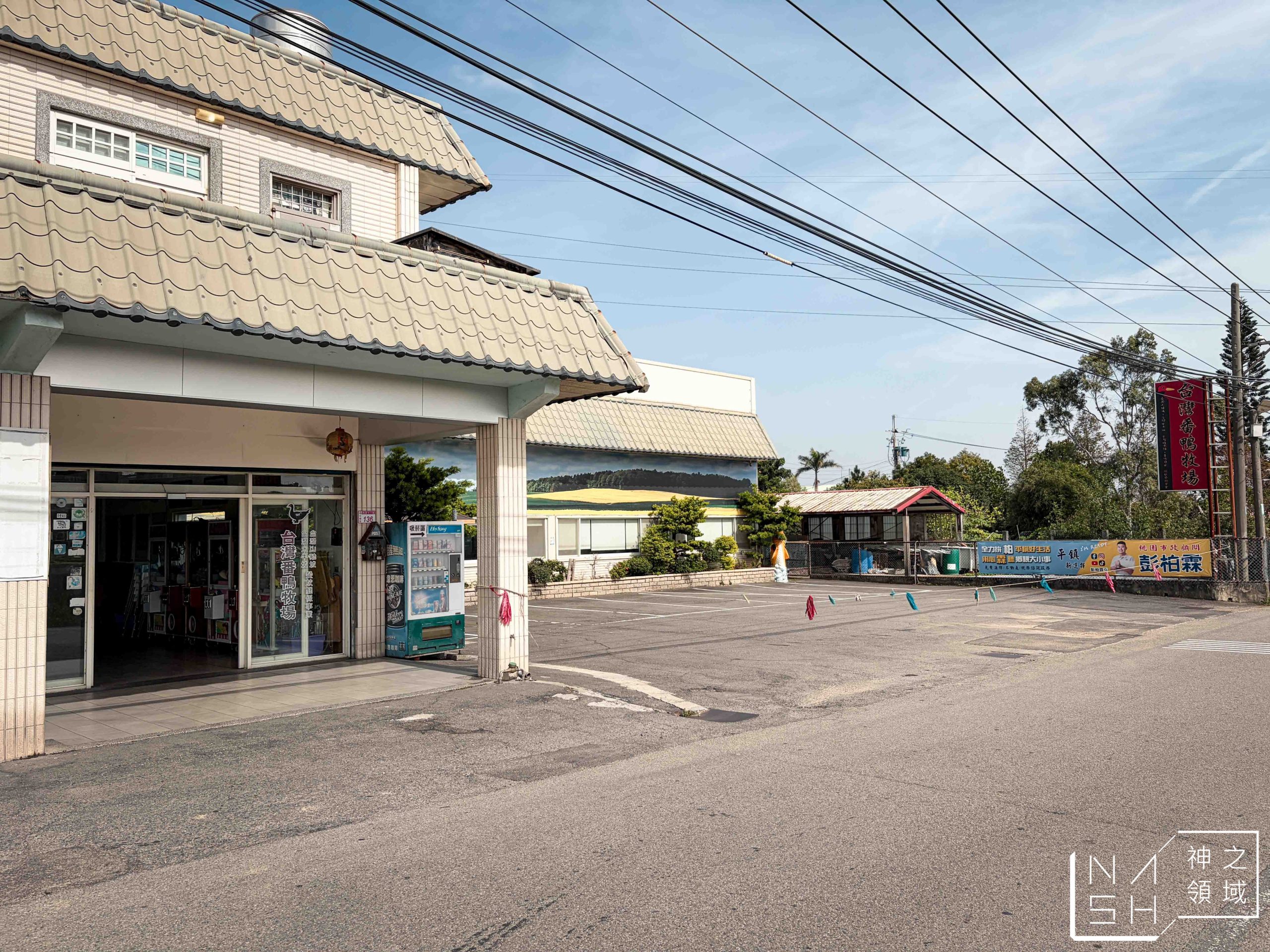 台灣番鴨牧場大江店