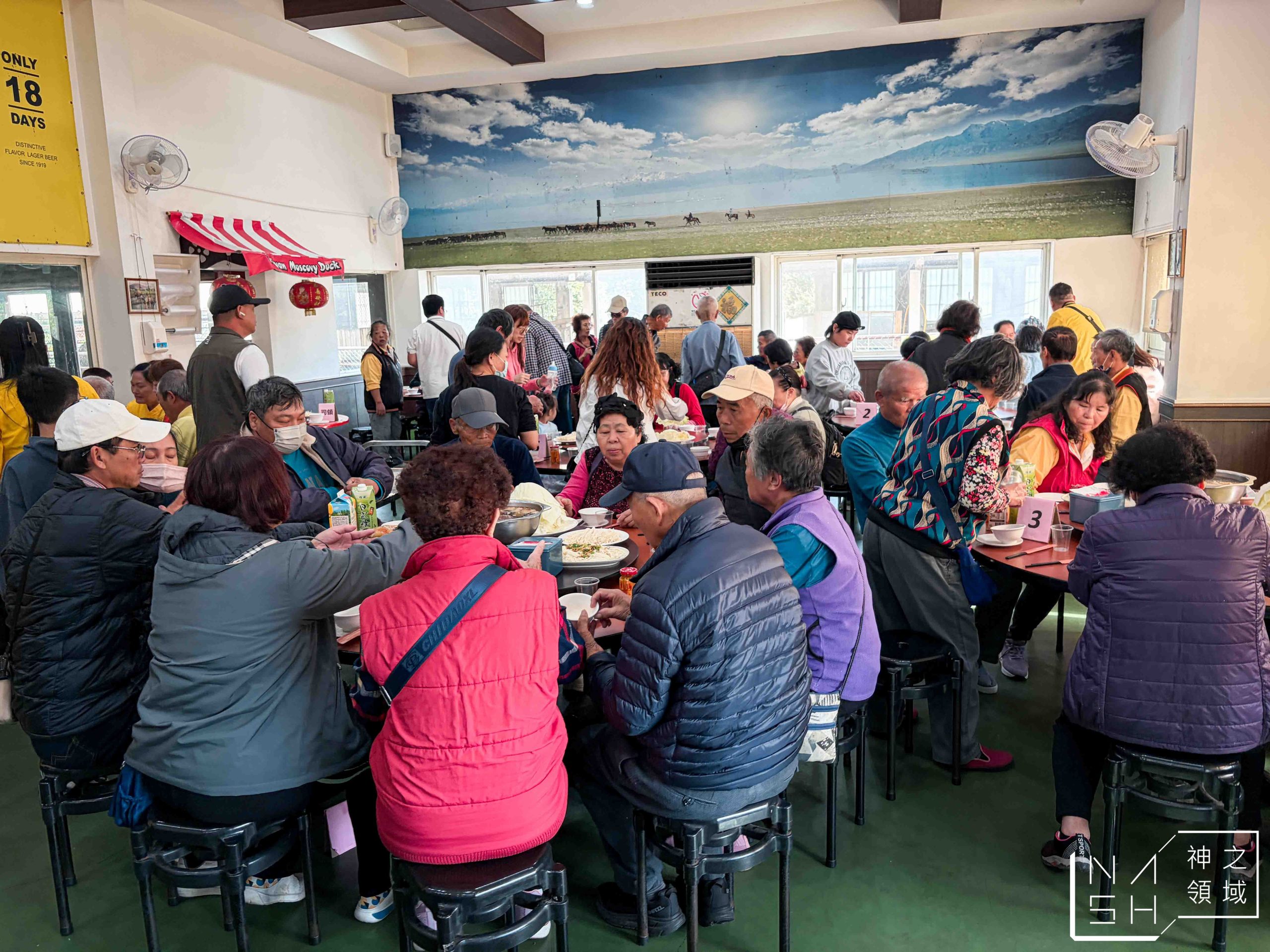 台灣番鴨牧場大江店