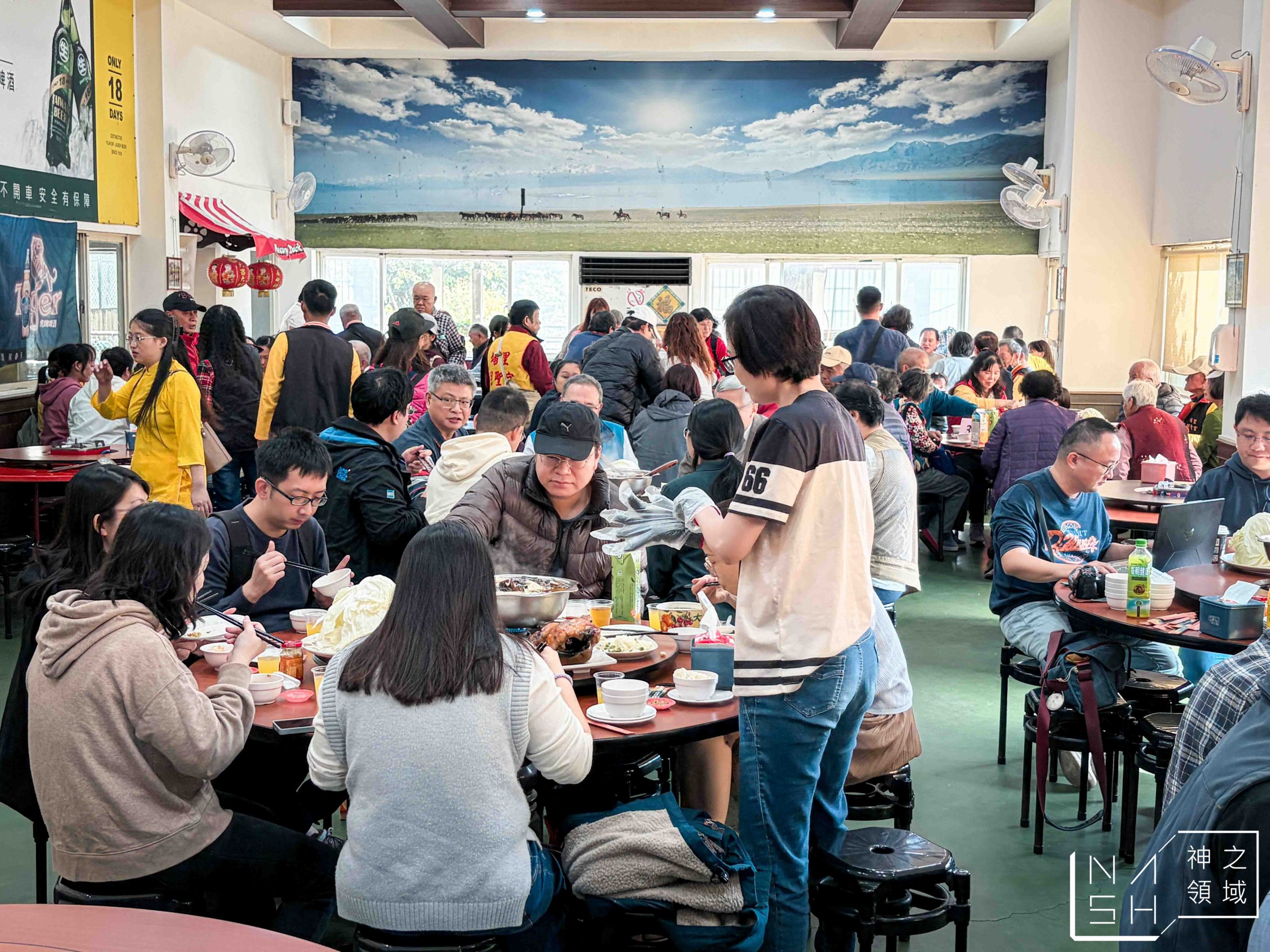 台灣番鴨牧場大江店