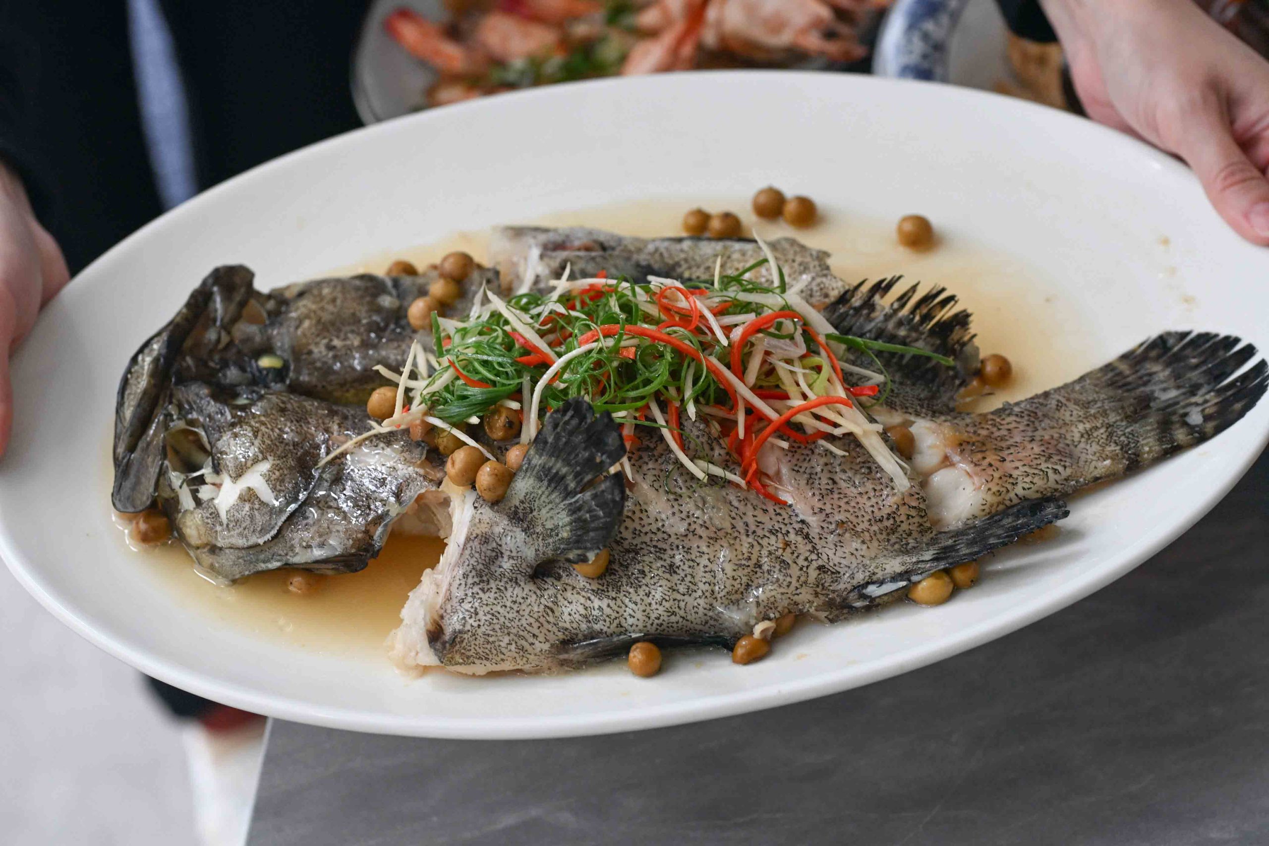 招治飯店年菜推薦 招治飯店年菜推薦