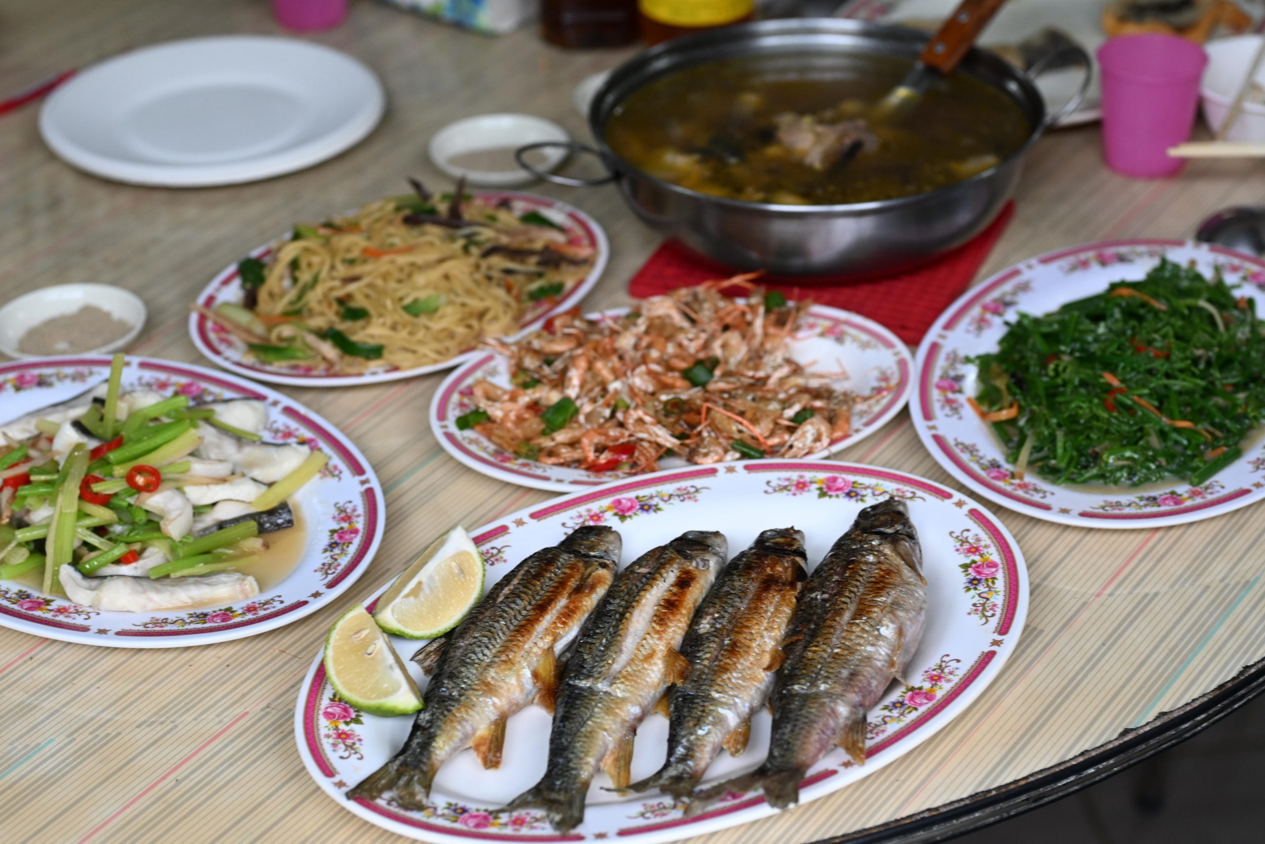 苦花大王 @Nash，神之領域