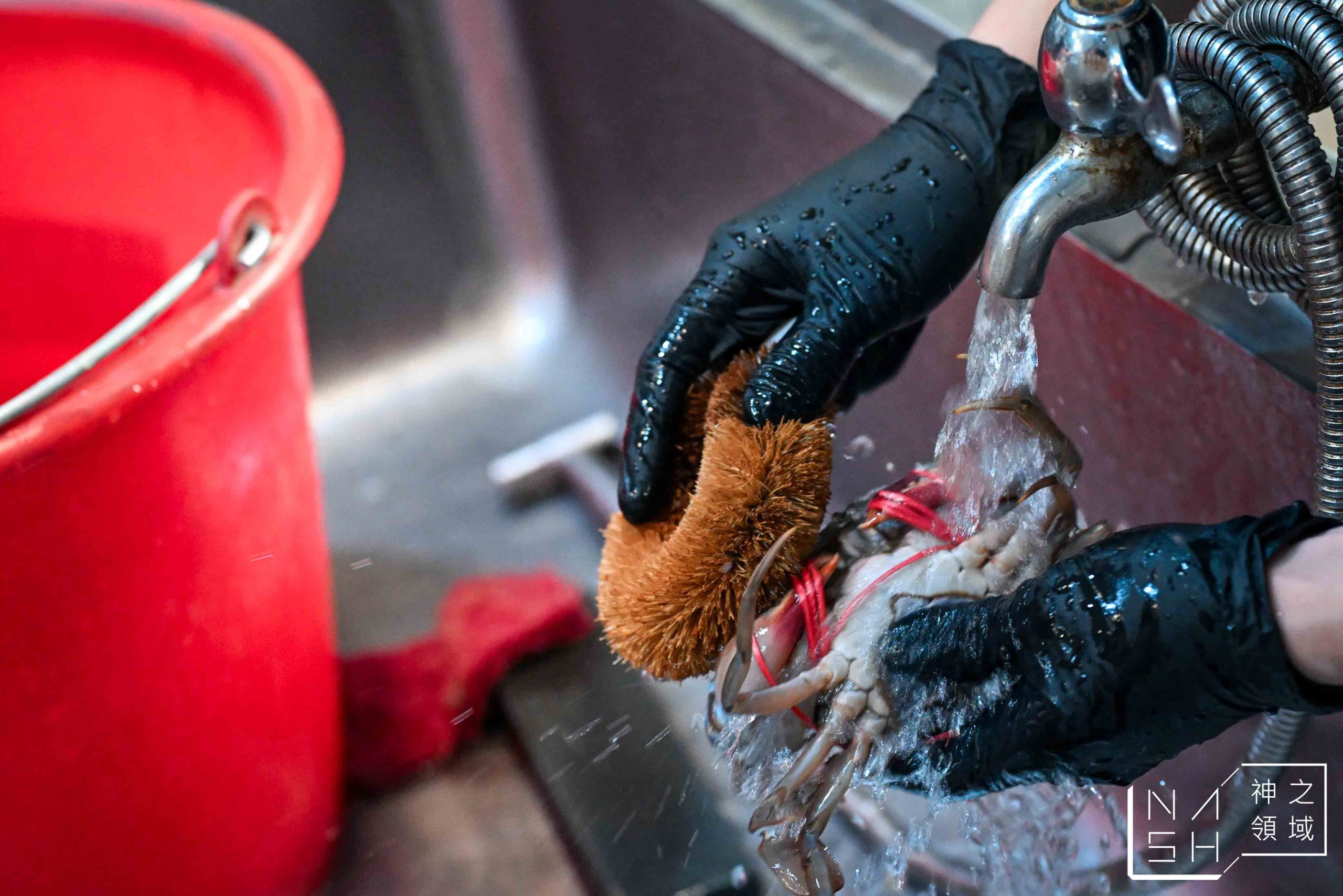  @Nash，神之領域