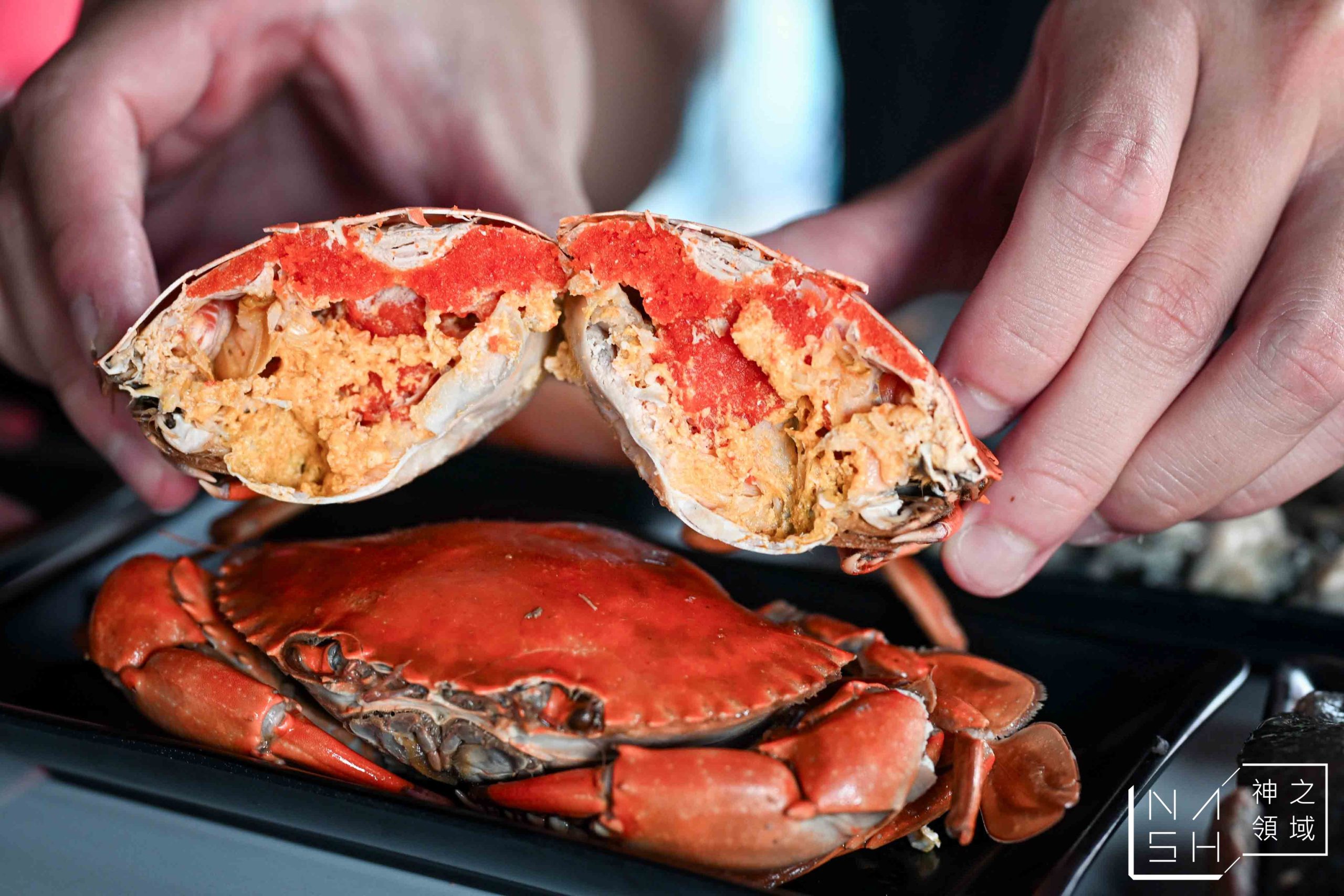  @Nash，神之領域