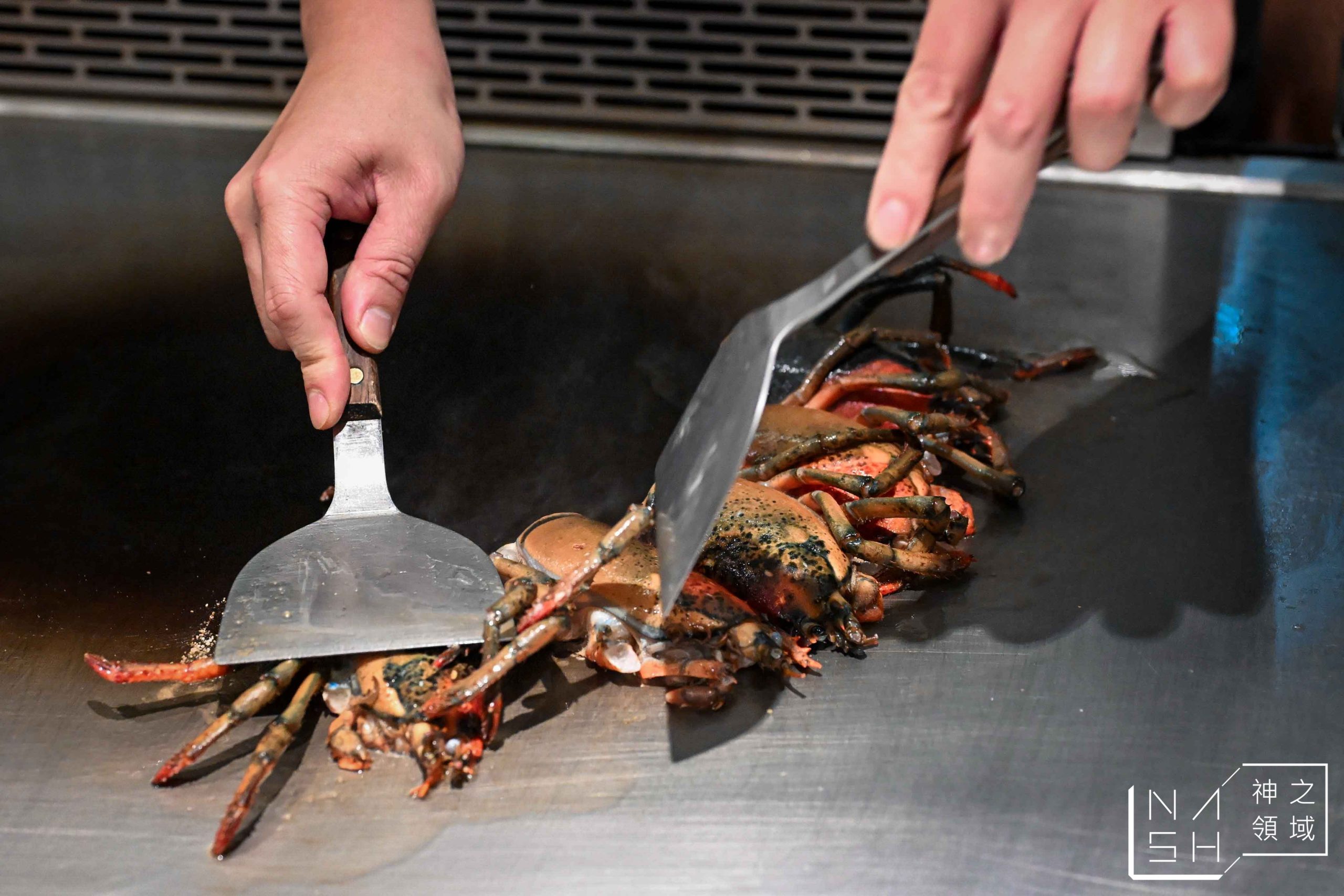  @Nash，神之領域