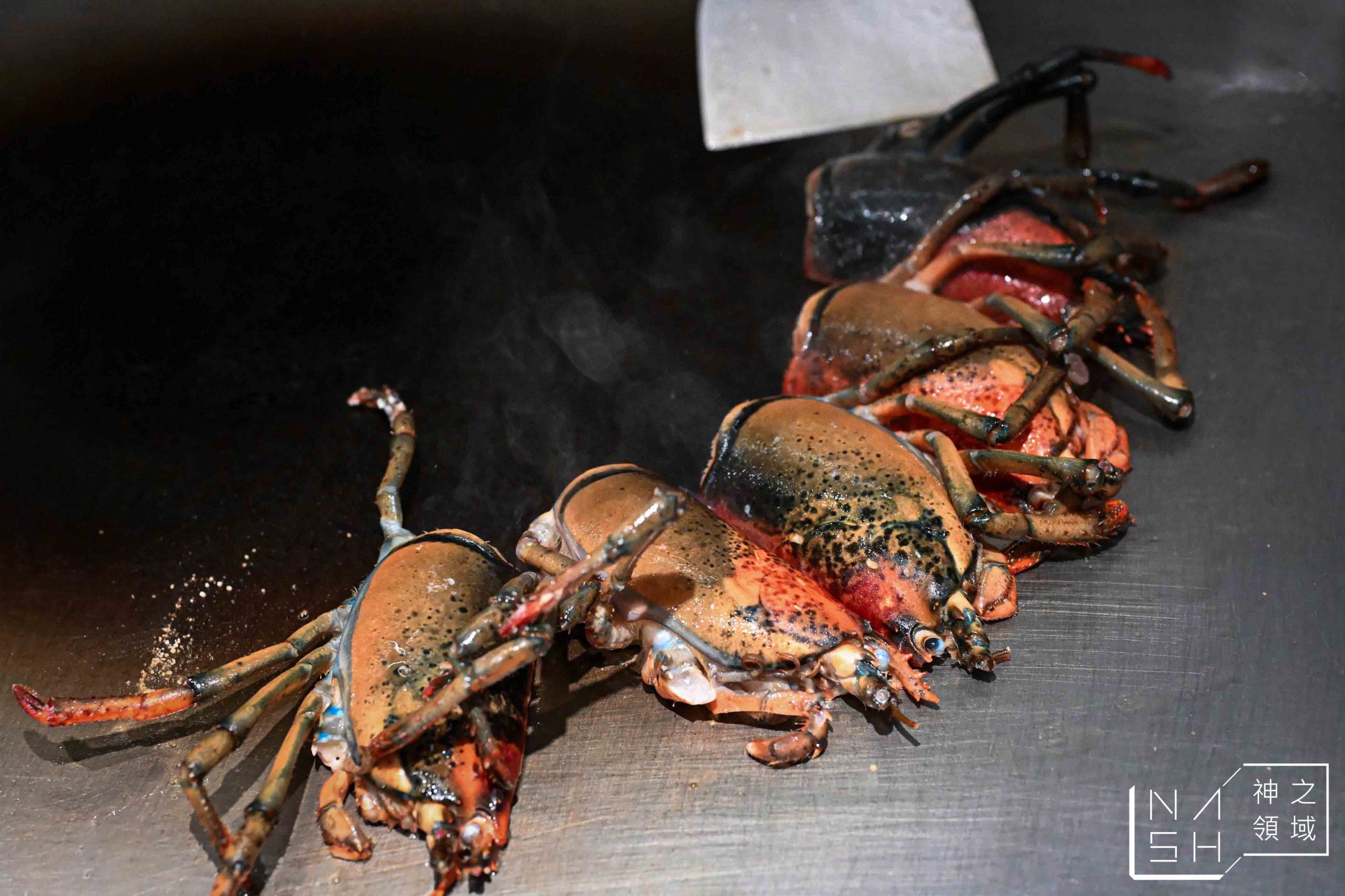  @Nash，神之領域