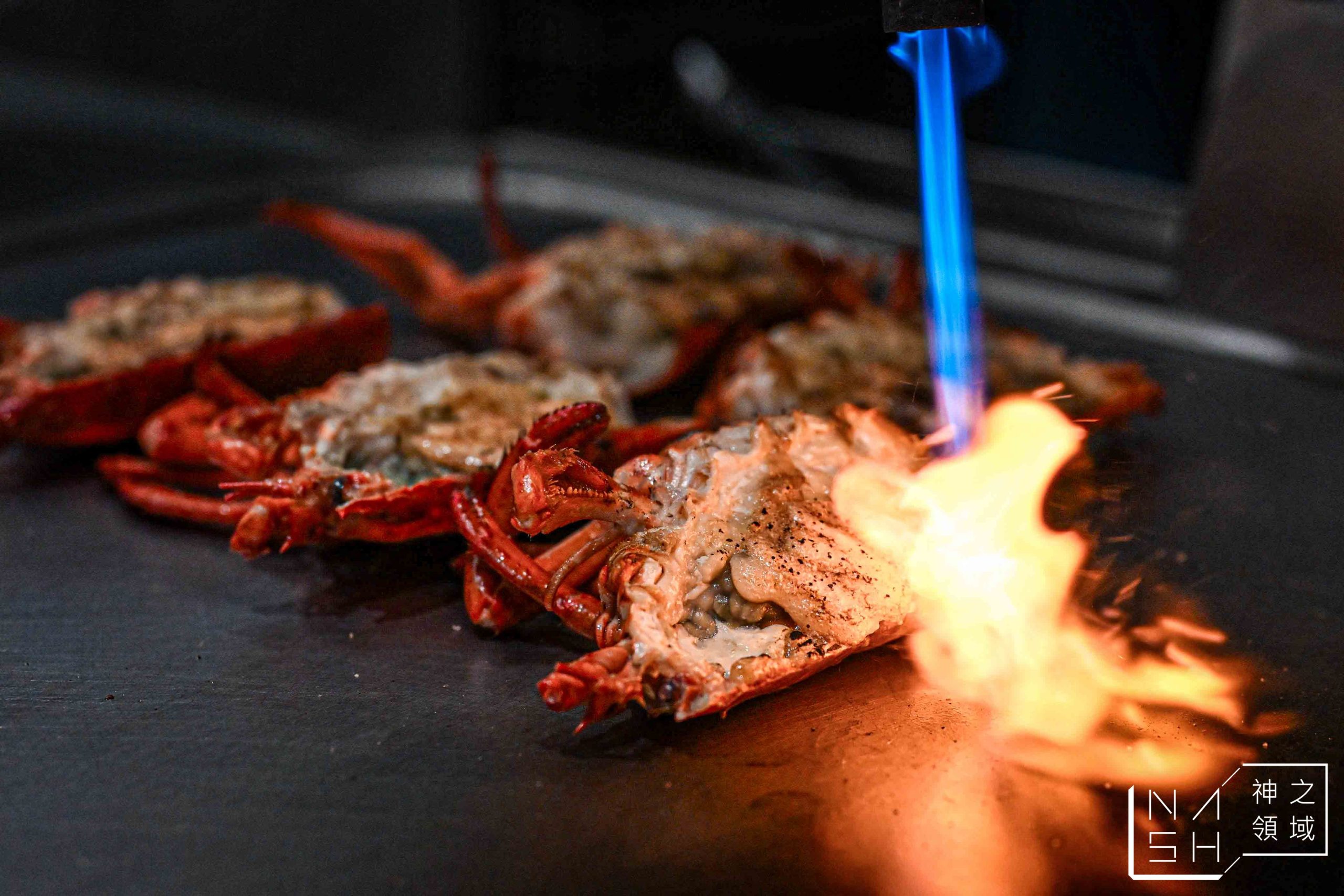  @Nash，神之領域