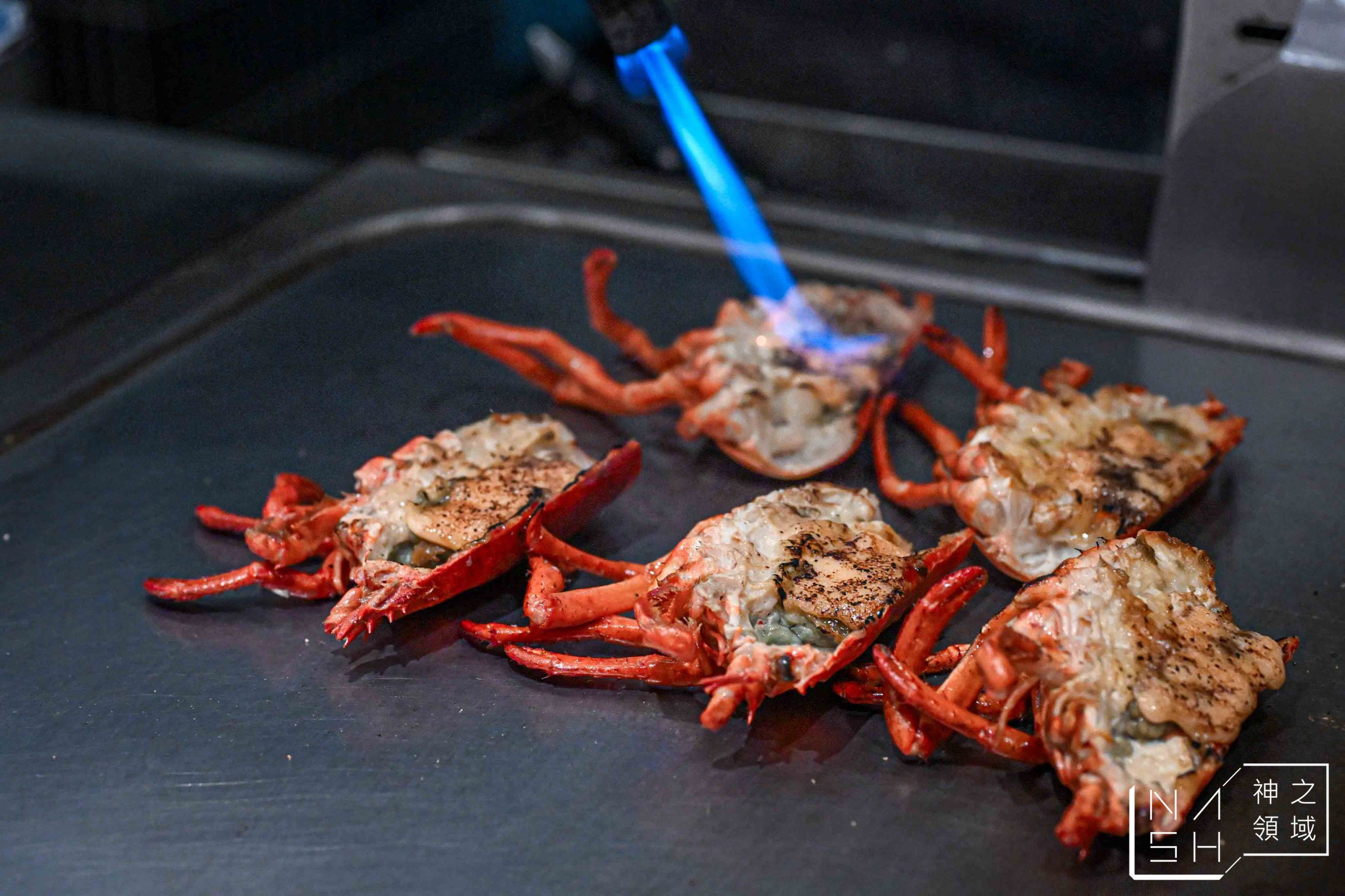  @Nash，神之領域