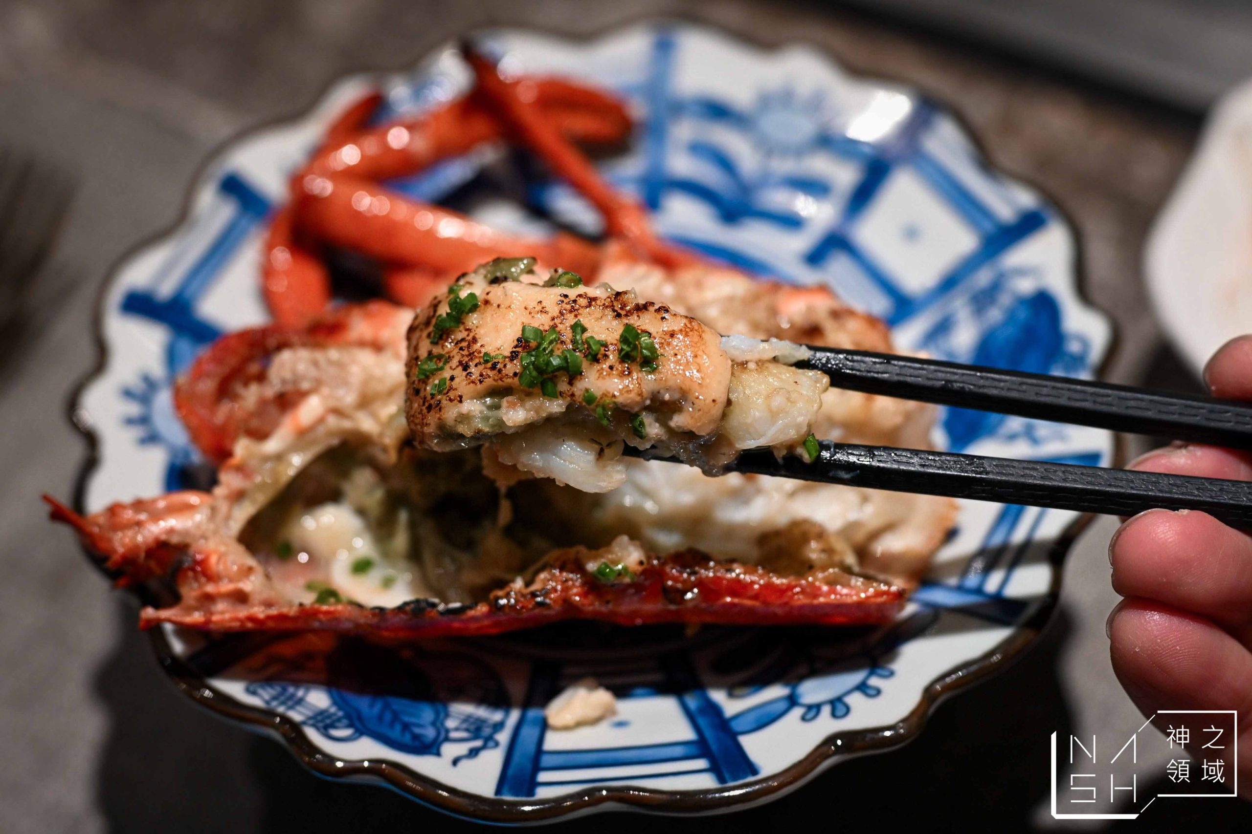  @Nash，神之領域