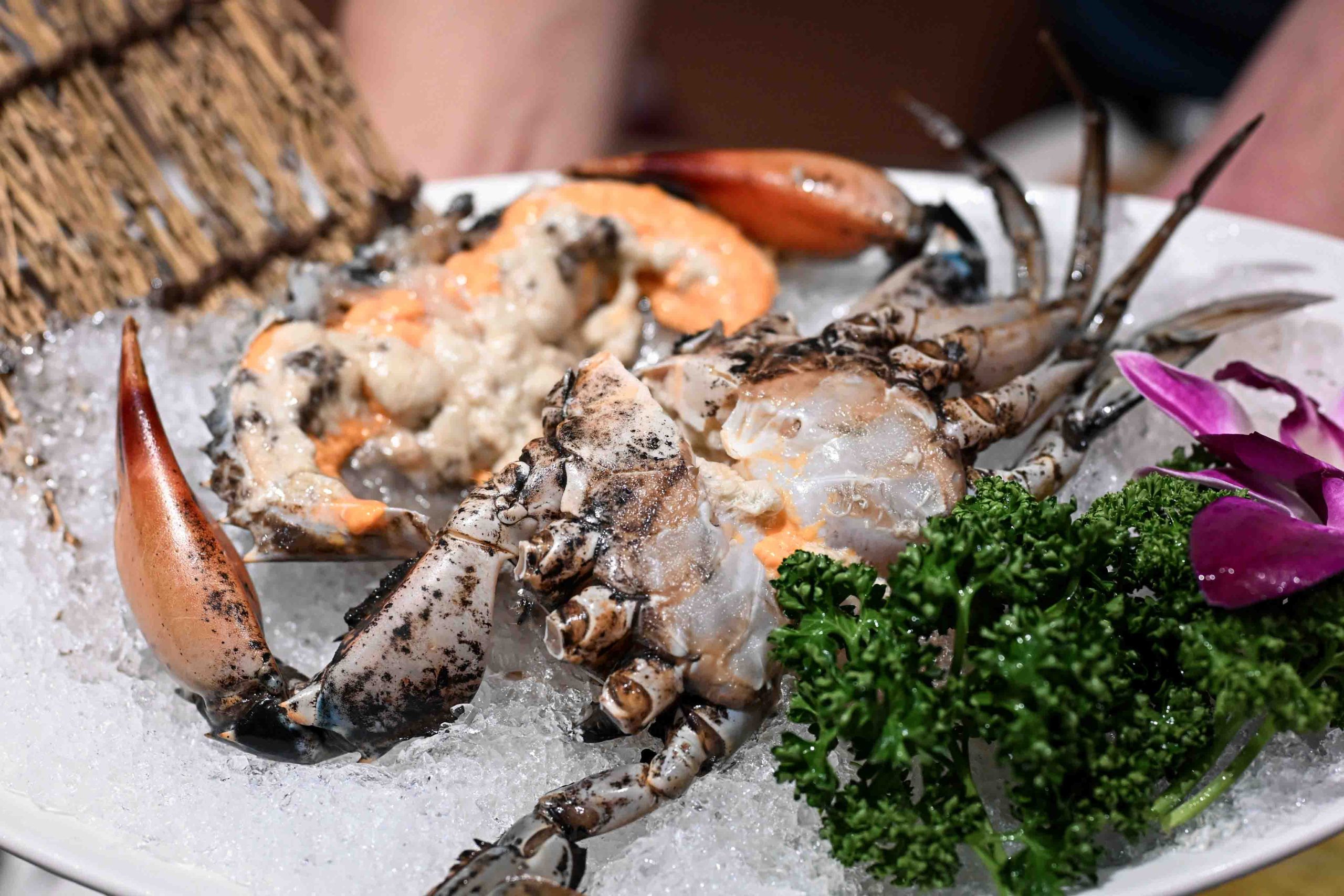 【君曜雞湯】信義區雞湯火鍋推薦|台北101/世貿站美食|金湯濃郁系火鍋附菜單 @Nash,神之領域 @Nash,神之領域