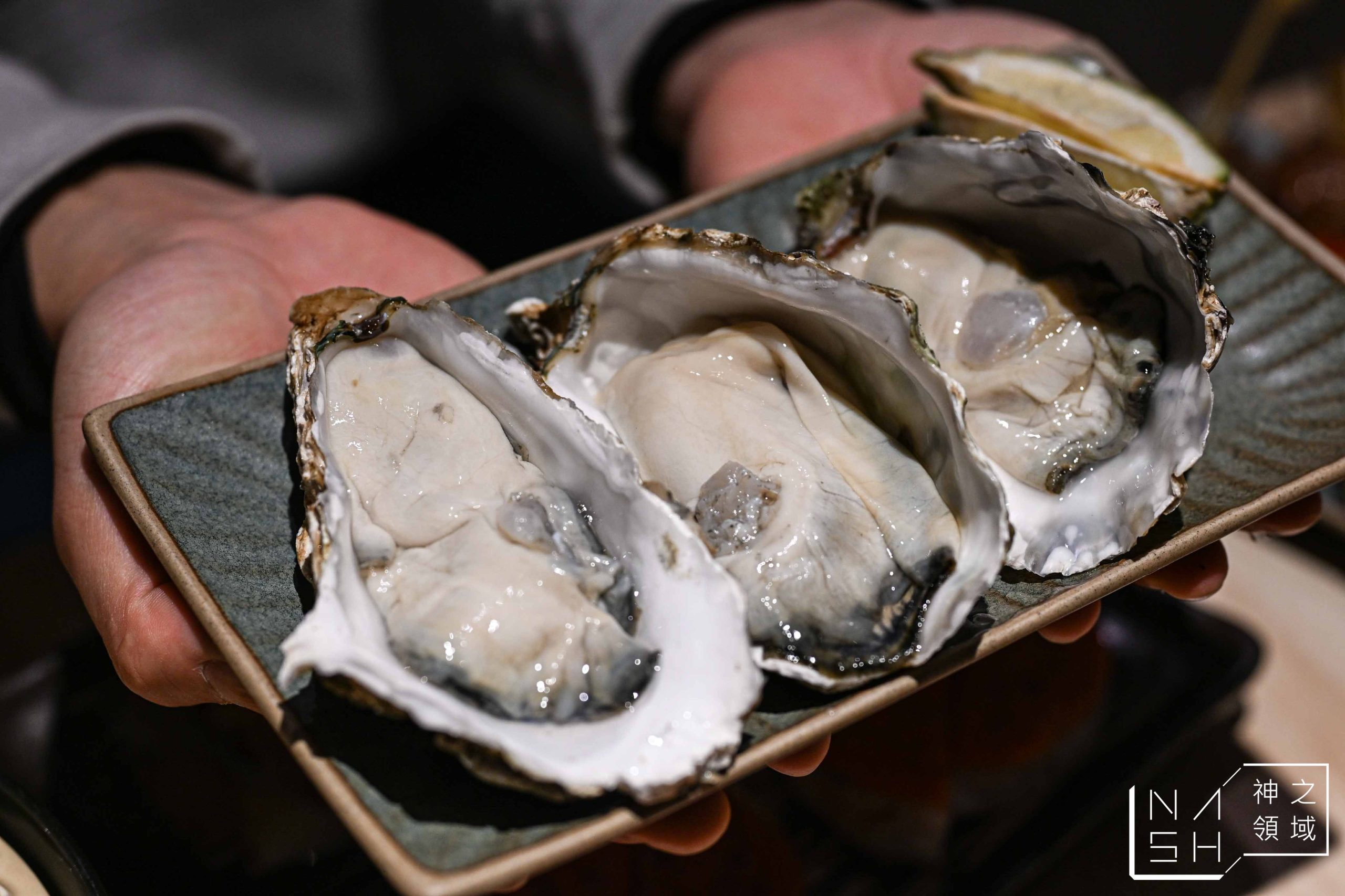  @Nash，神之領域