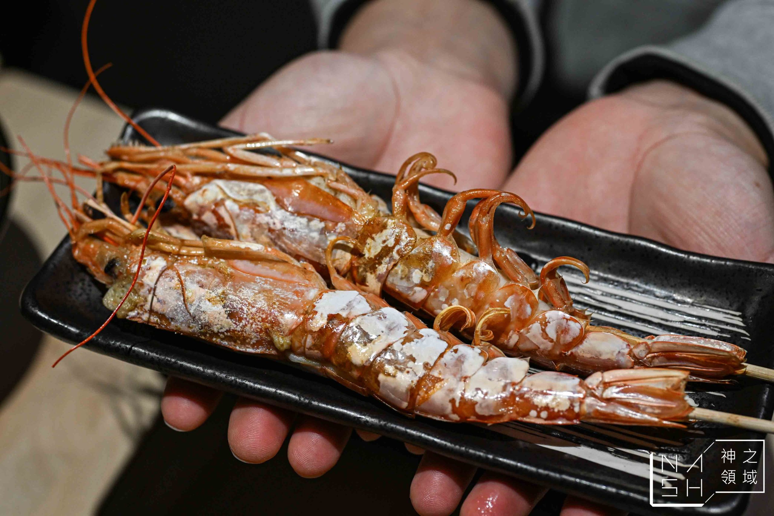  @Nash，神之領域