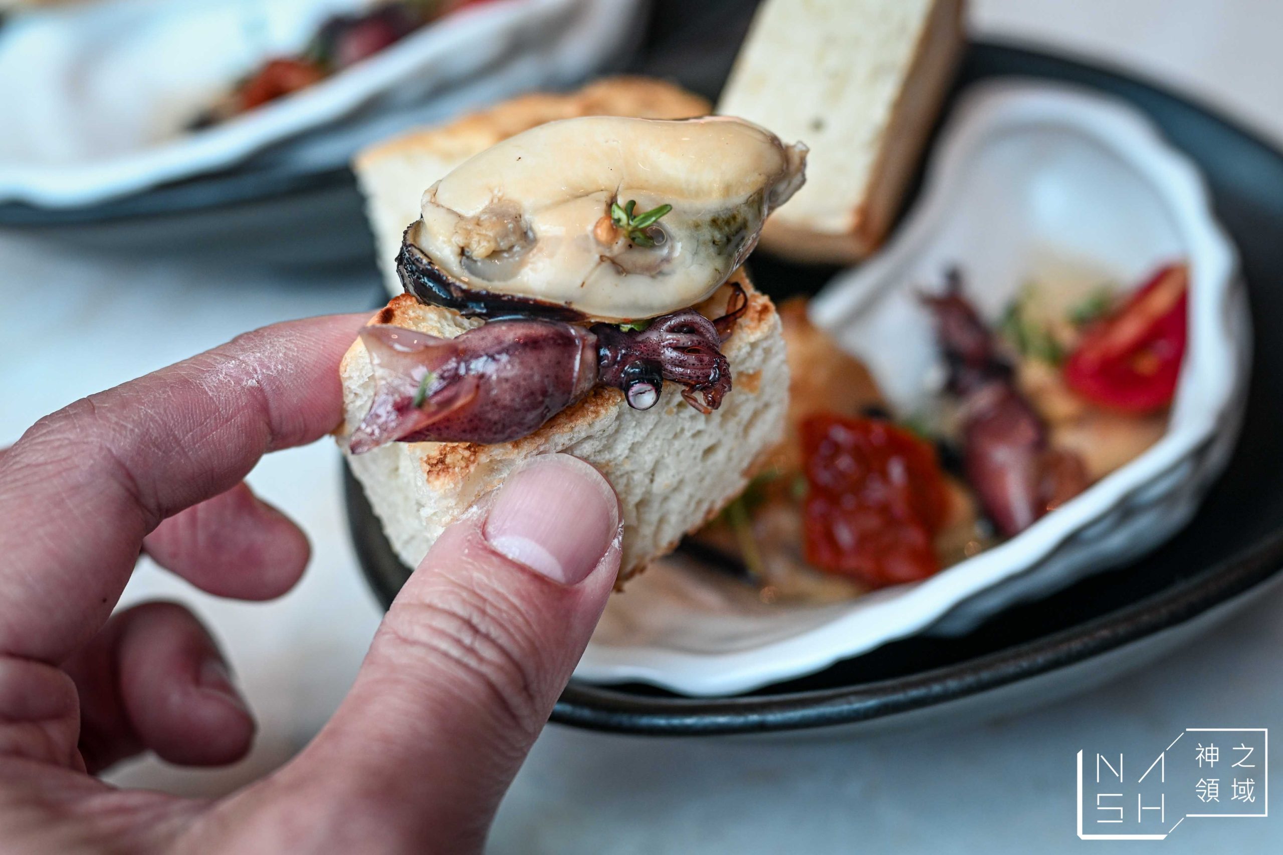  @Nash，神之領域