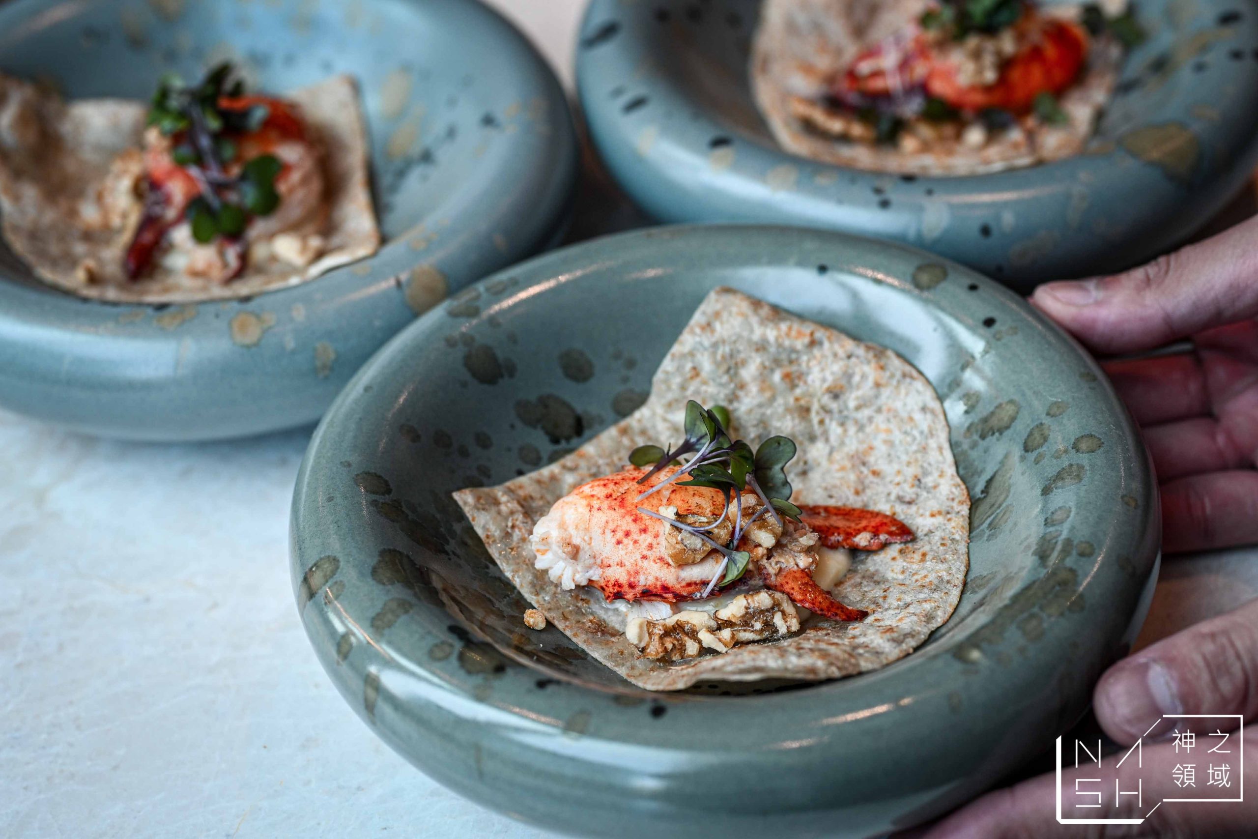  @Nash，神之領域