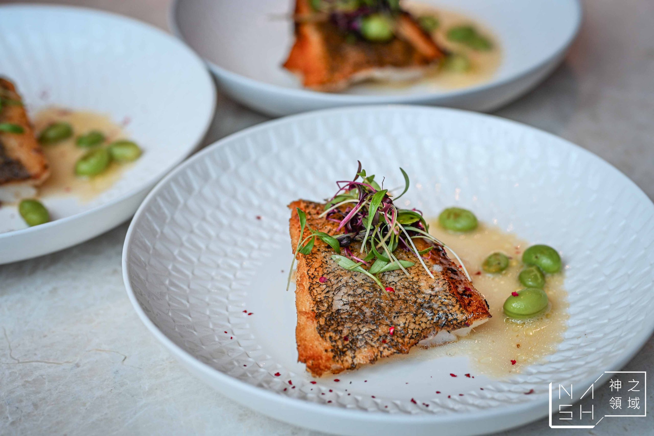  @Nash，神之領域