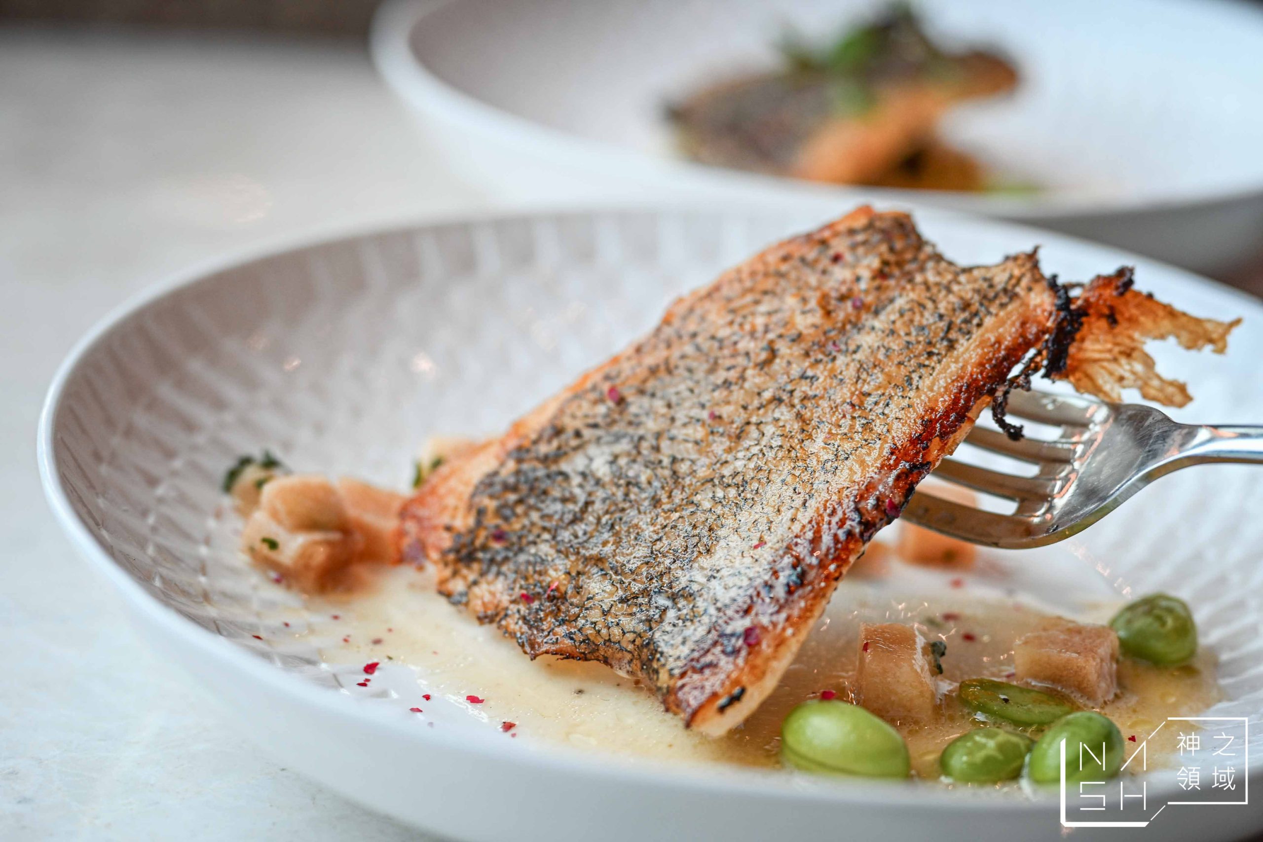  @Nash，神之領域