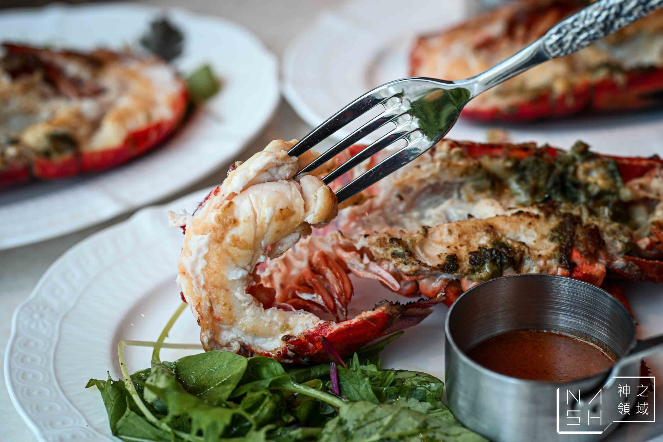  @Nash，神之領域