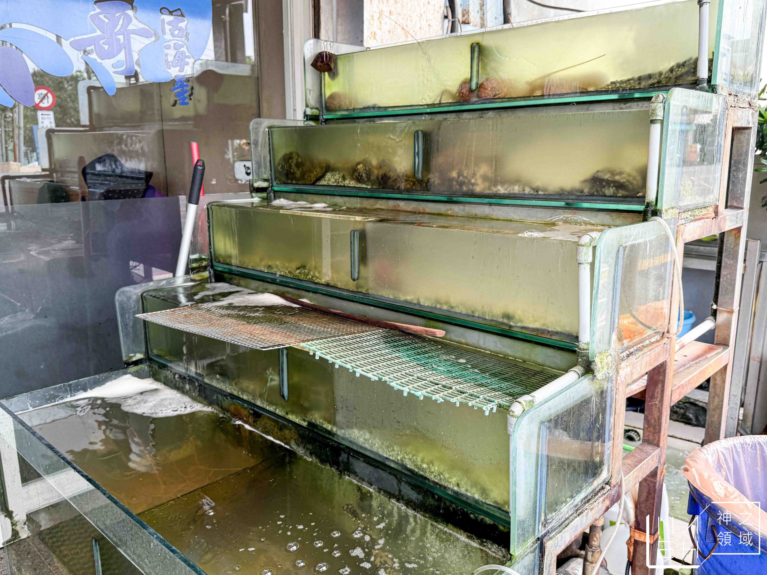  @Nash，神之領域