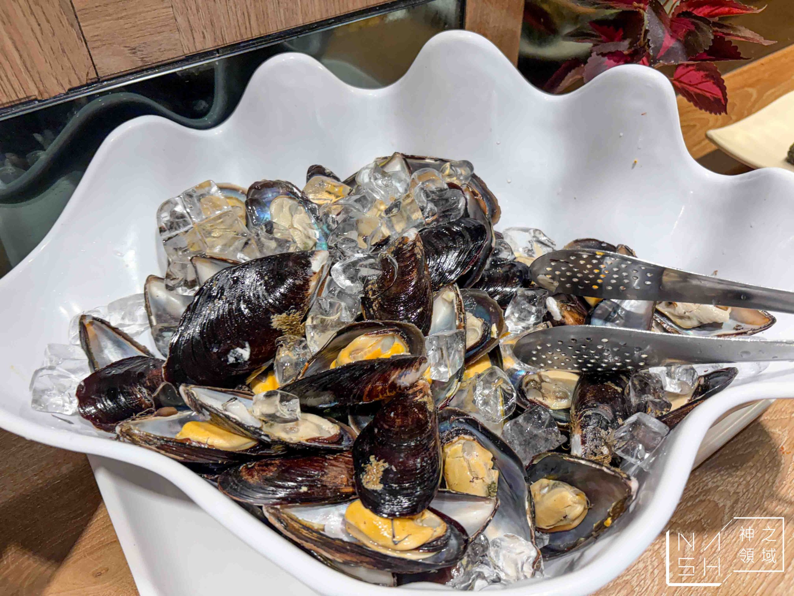 安格士牛排館樹林店