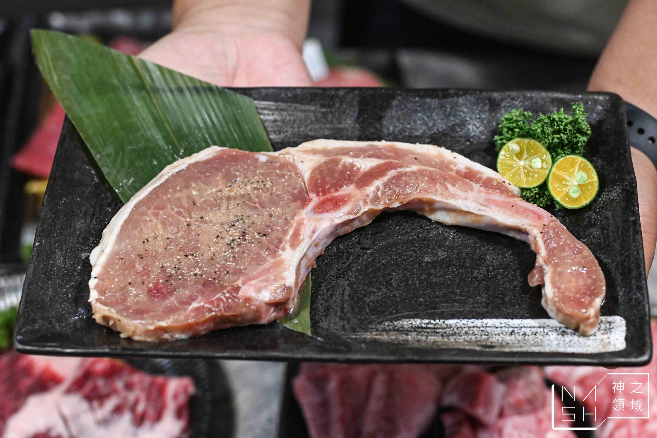 【竹北燒肉推薦】吃肉肉燒肉専門店逆勢降價!千元爽吃和牛 生魚片吃到飽,CP值直接炸裂 @Nash,神之領域 @Nash,神之領域