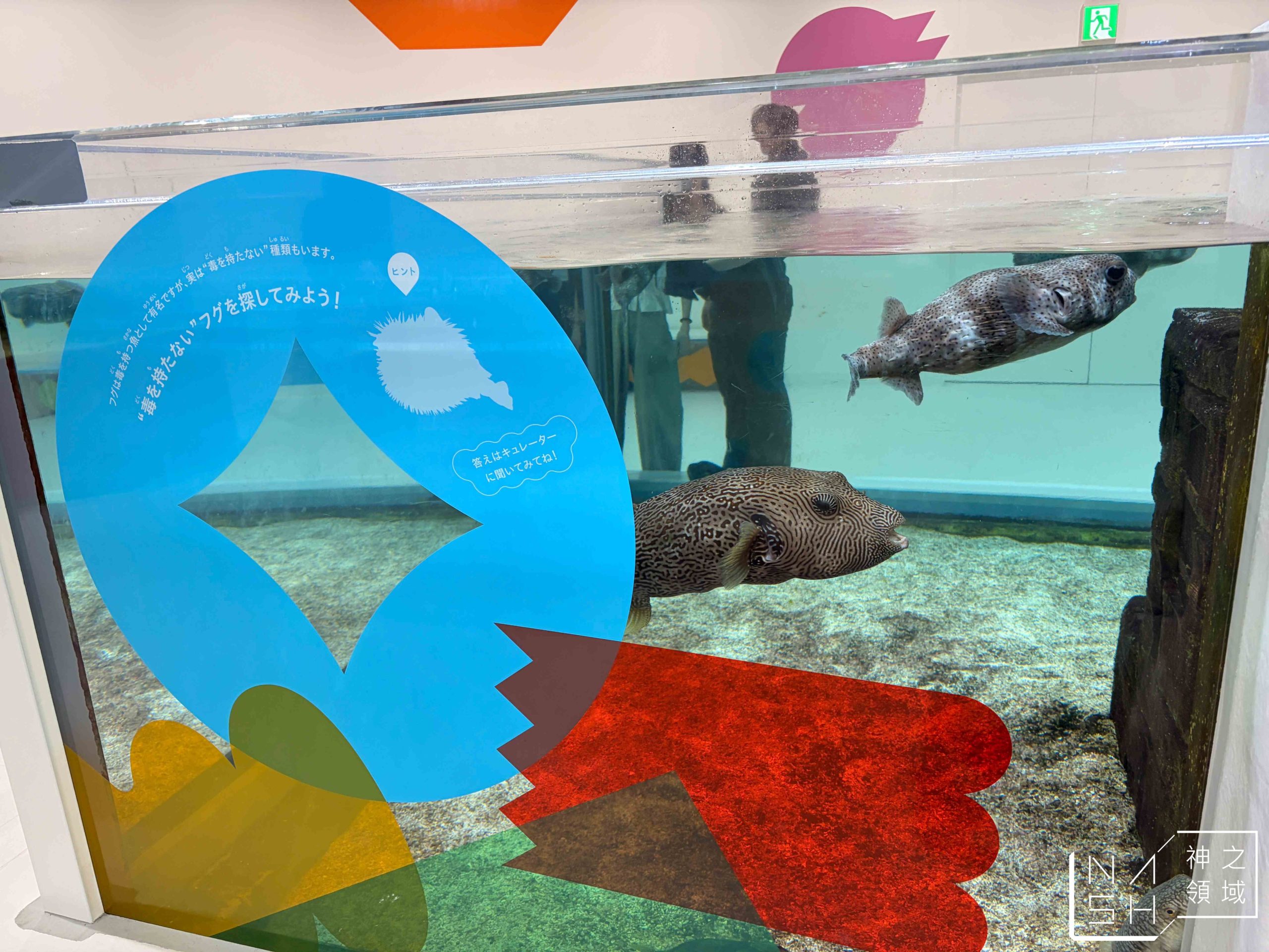 水生美世界 NIFREL 水生美世界 NIFREL